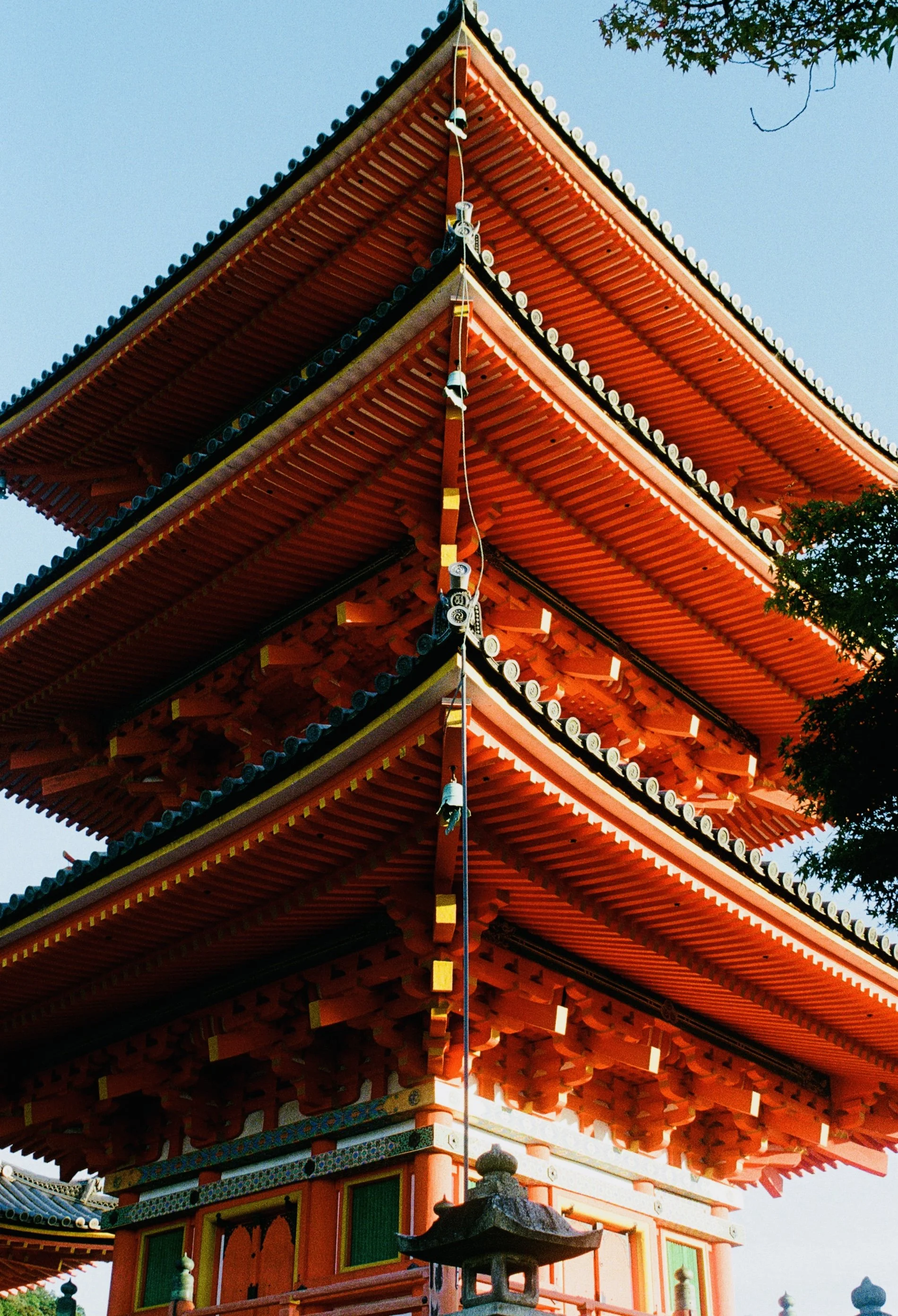 CDE8CE5B-1180-4CB9-9423-A6F3830254E5_1_201_a.jpeg