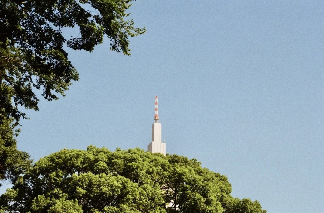 EADB9A17-EBB0-4F3D-8356-E15CAF367A5E_1_105_c.jpeg