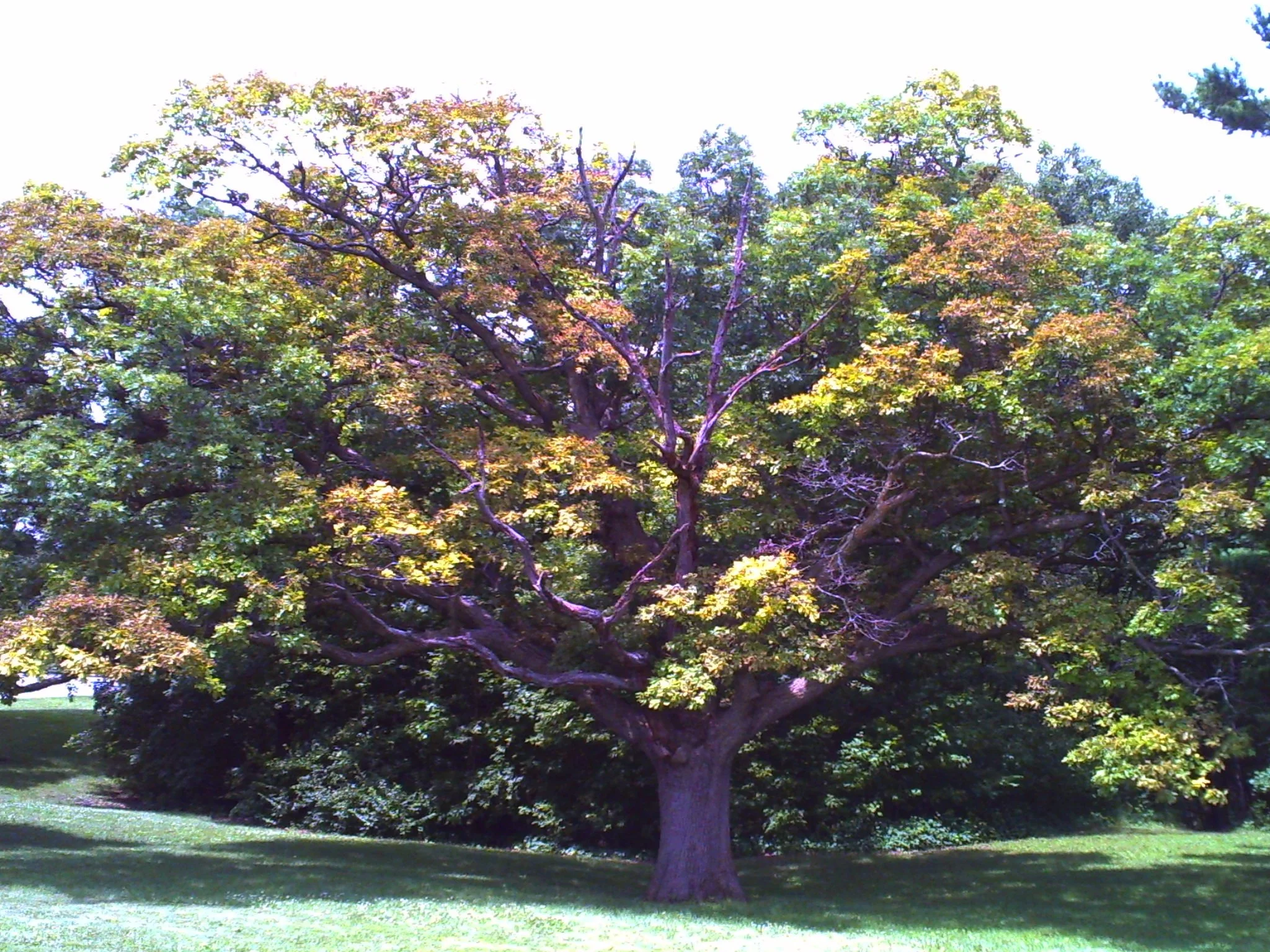 PICT0074.JPG