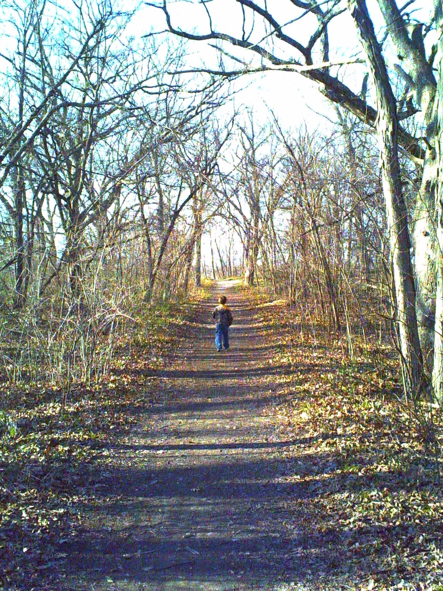 PICT0046.JPG