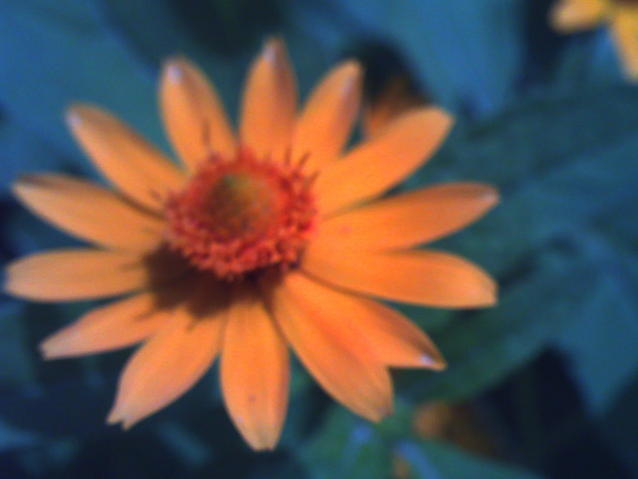 PICT0047.JPG