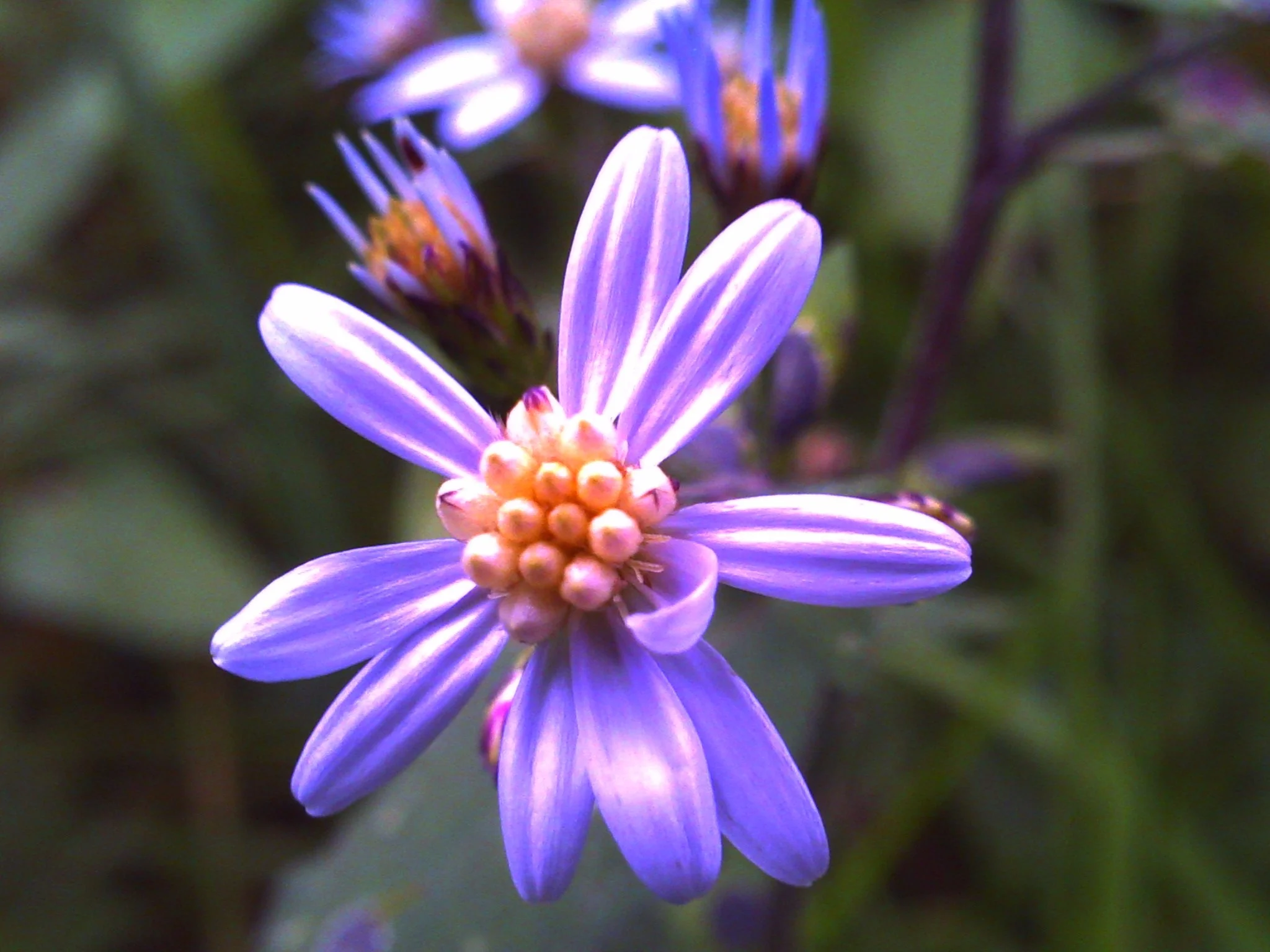 PICT0097.JPG