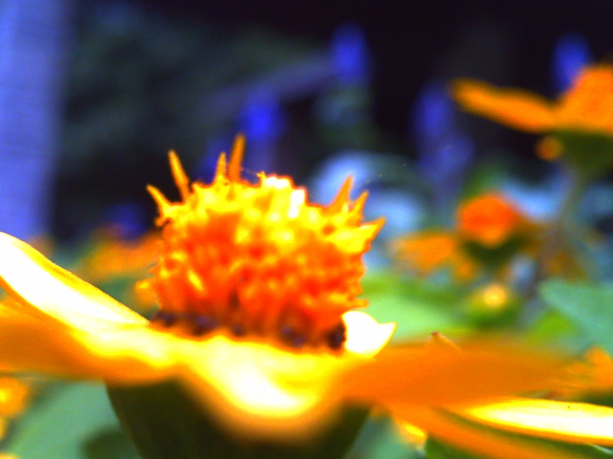 PICT0048.JPG