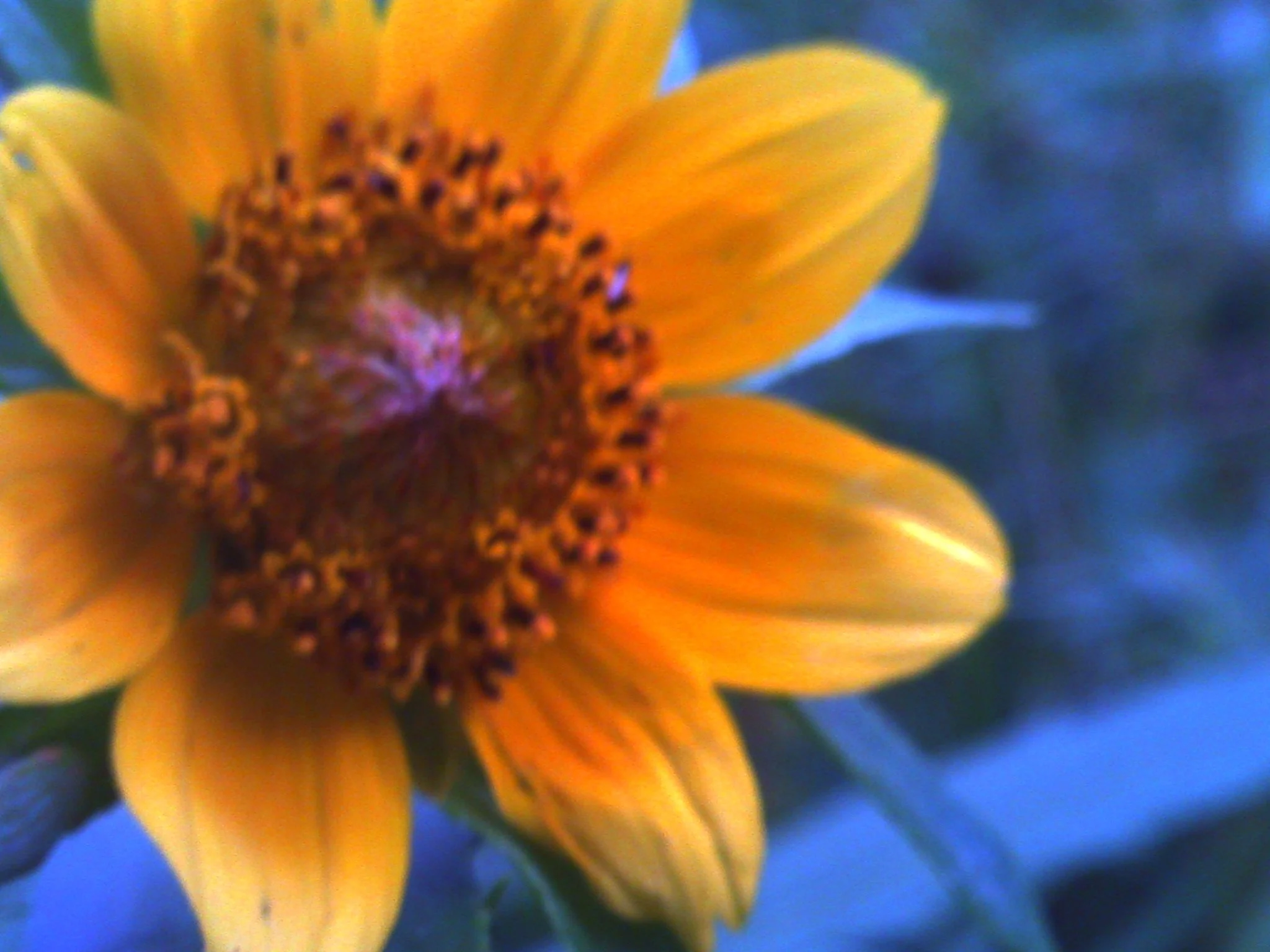 PICT0098.JPG
