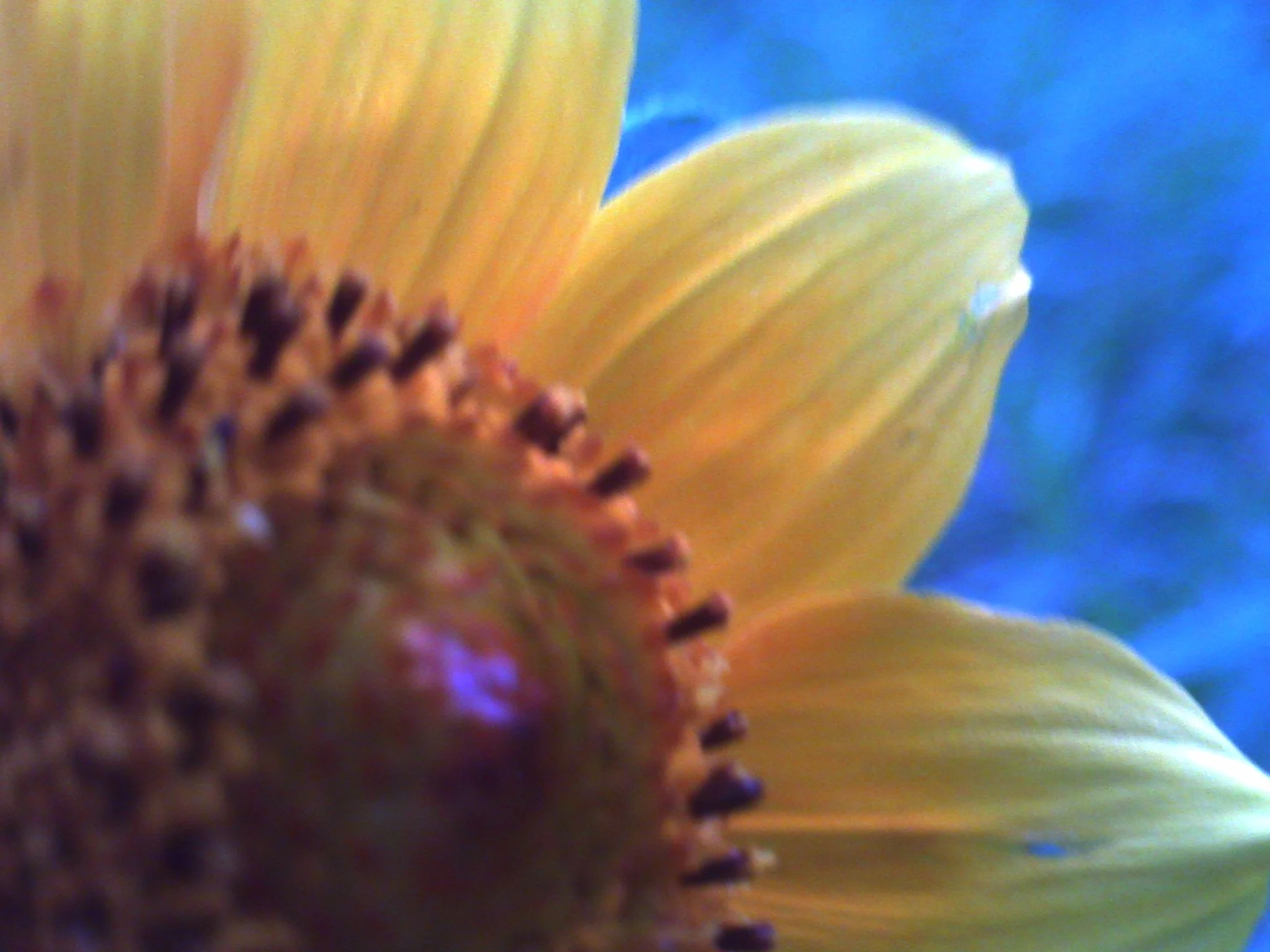 PICT0100.JPG