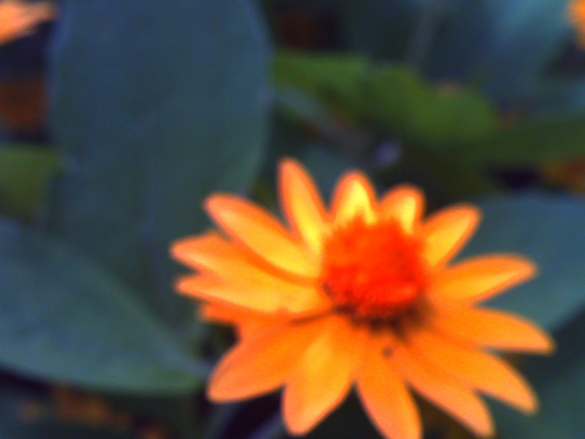 PICT0045.JPG