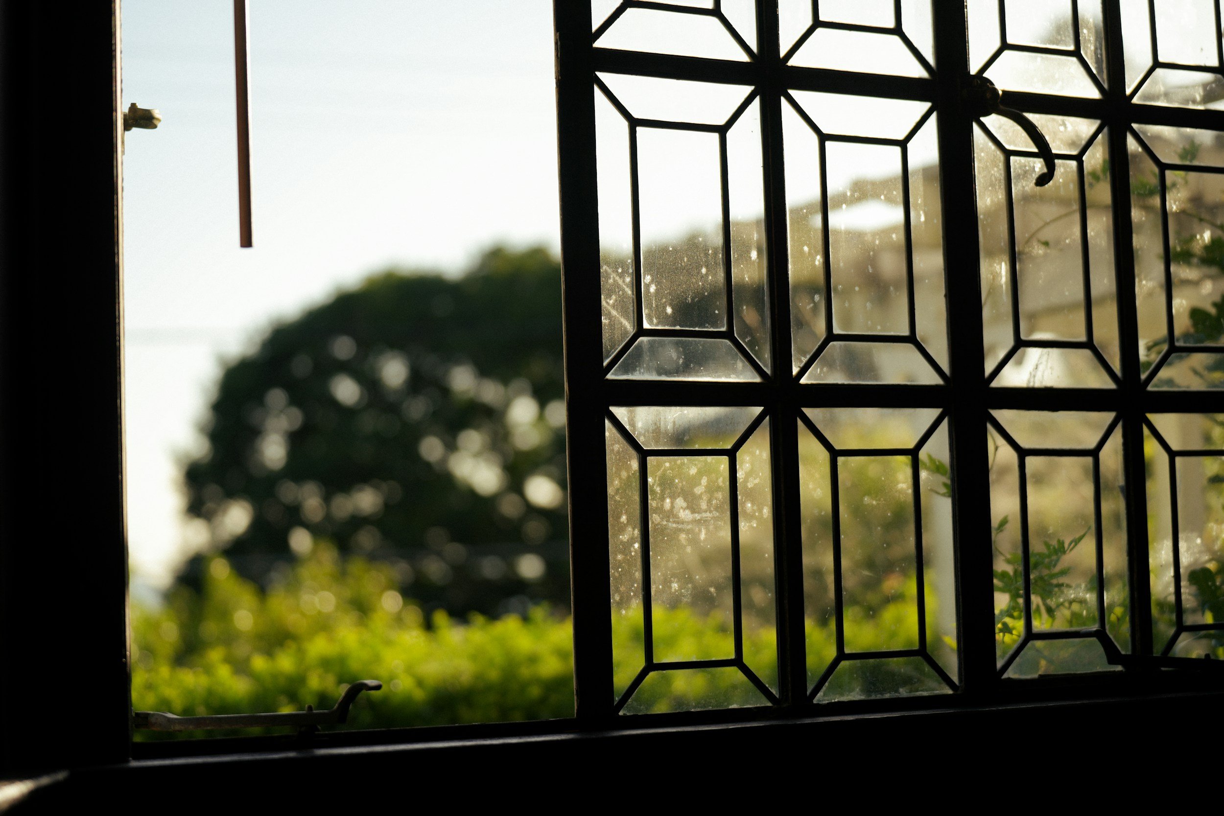 View of a garden through a metal window grill and partially open window, with trees and greenery outside, lit by natural sunlight.
