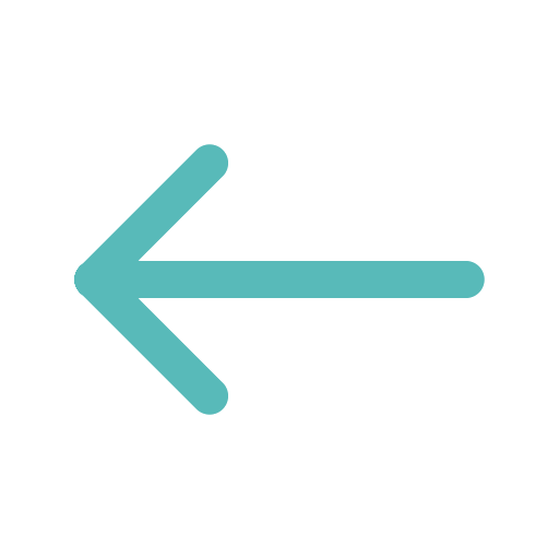 Left-pointing arrow
