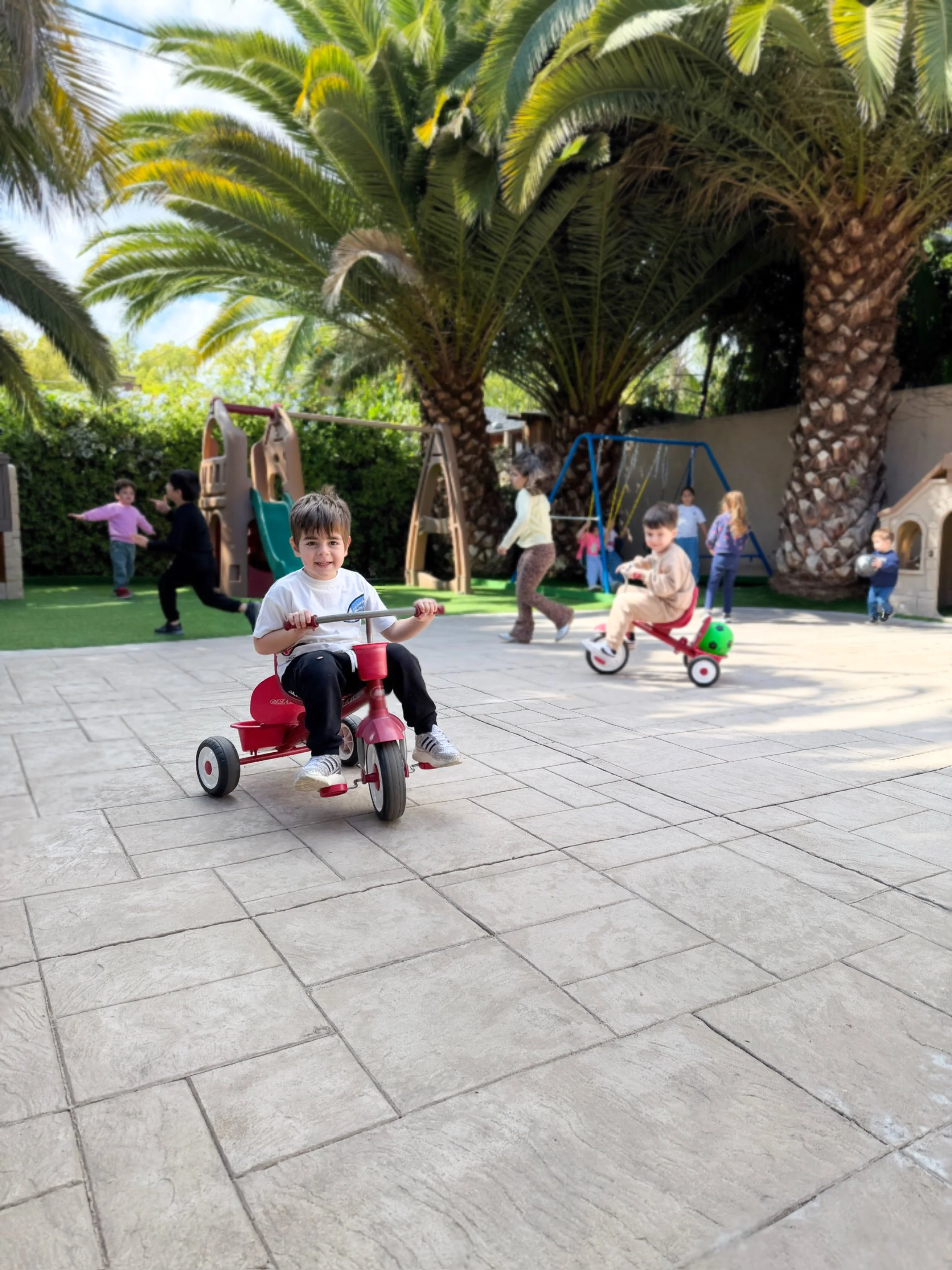 Children playing outdoors on a sunny day, some riding tricycles, others playing with balls and toys, under large palm trees in a backyard area.