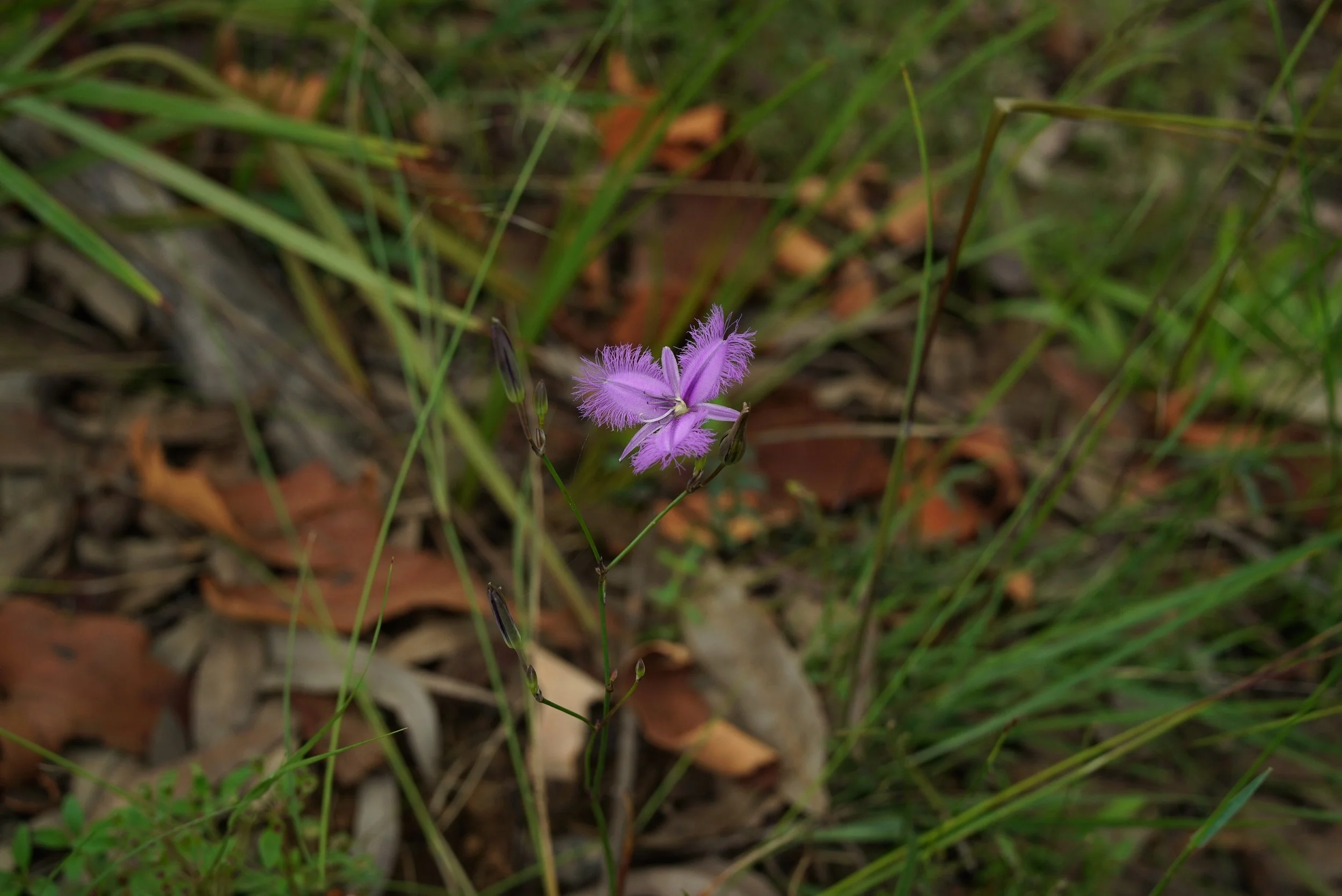 DSC03283.JPG