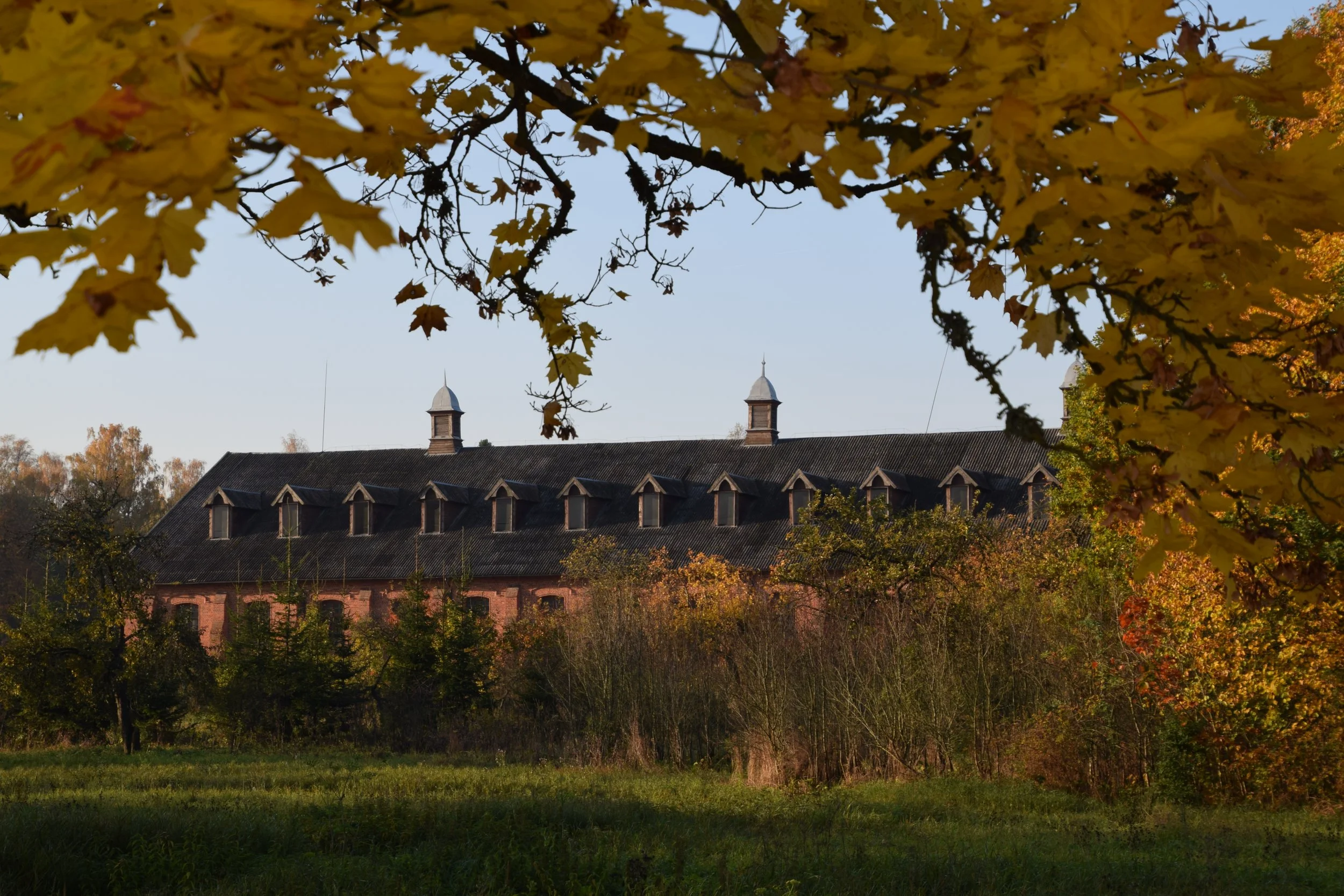 Autumn scene with yellow leaves on trees, a school building with a dark roof and small towers, and a grassy foreground