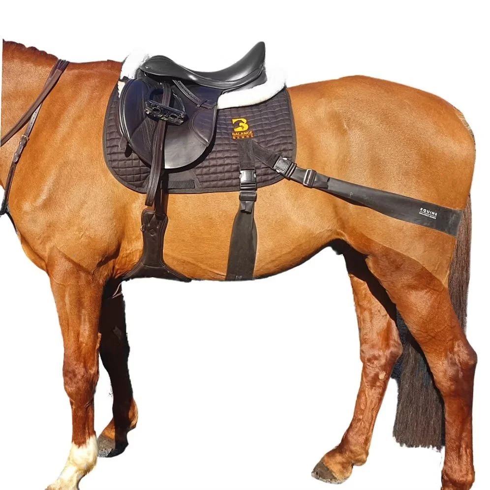 horse_balance_bands_product.jpg