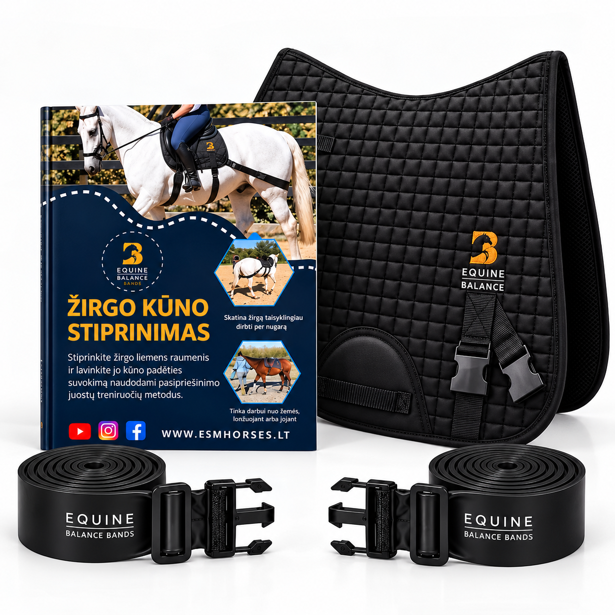 Equine - Žirgo kūno stiprinimo sistema