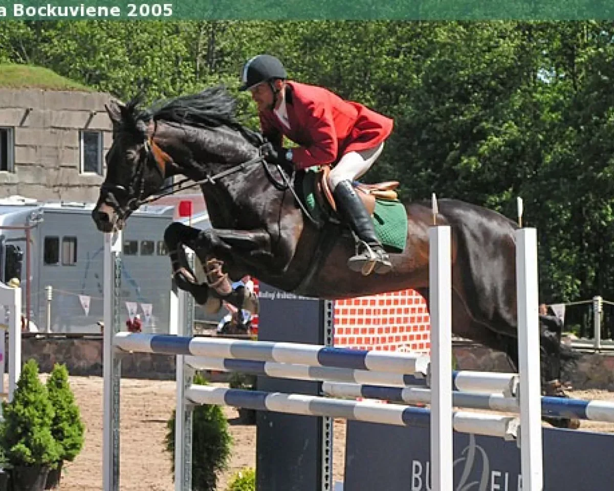 A rider in a red jacket and black helmet jumping over a hurdle on a dark brown horse at an outdoor equestrian event.