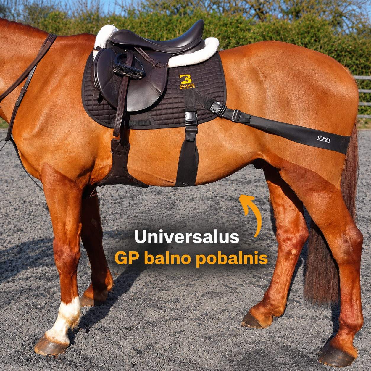 Esm Horses.png