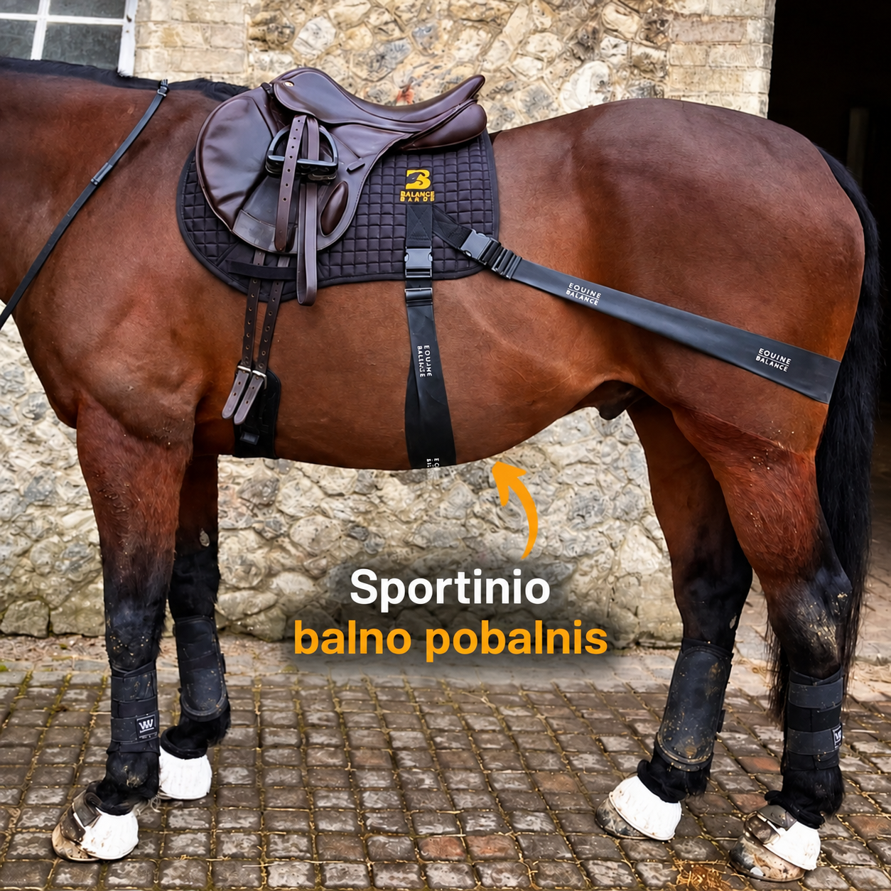 Sportinio balno pobalnis.png