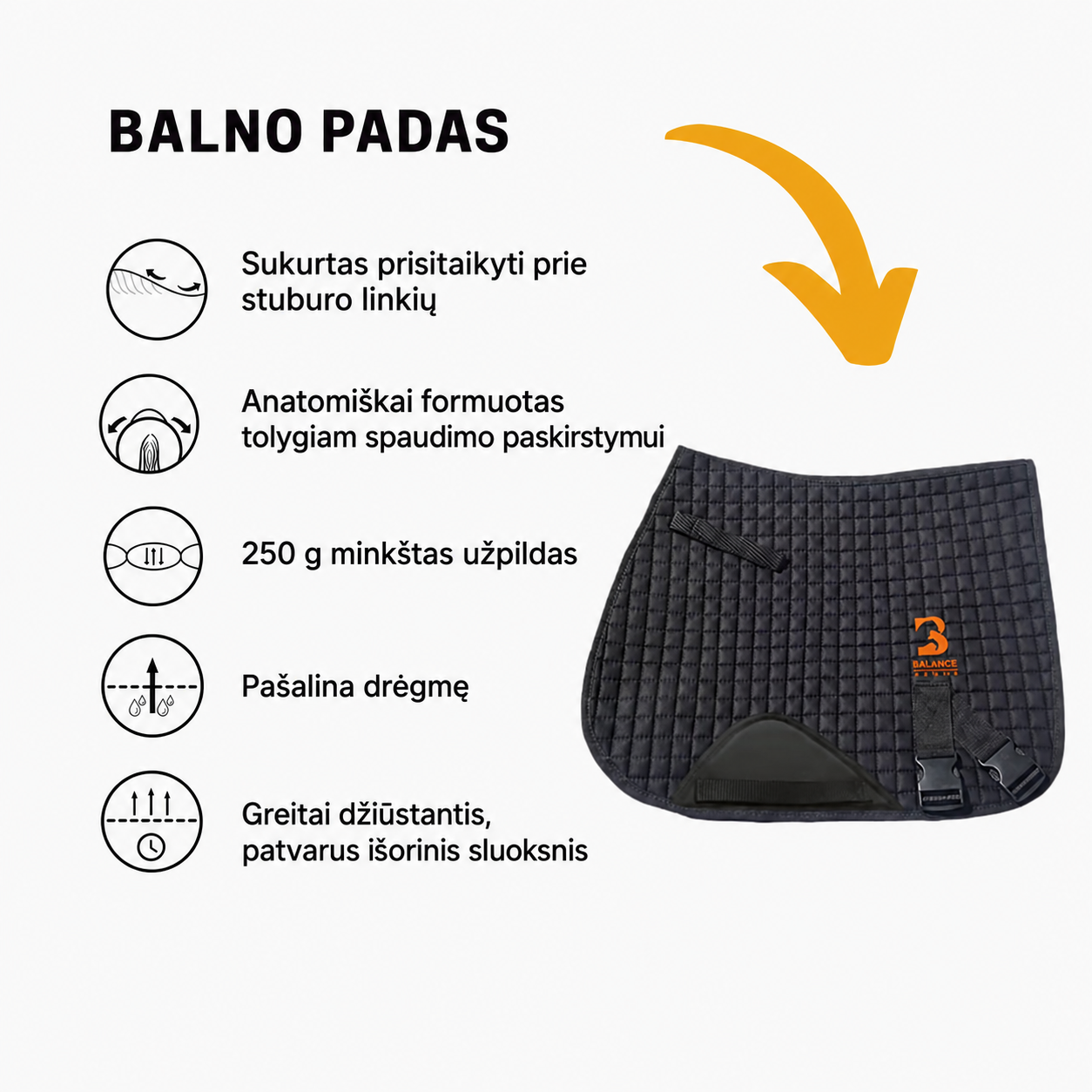 Balno padas zirgams.png