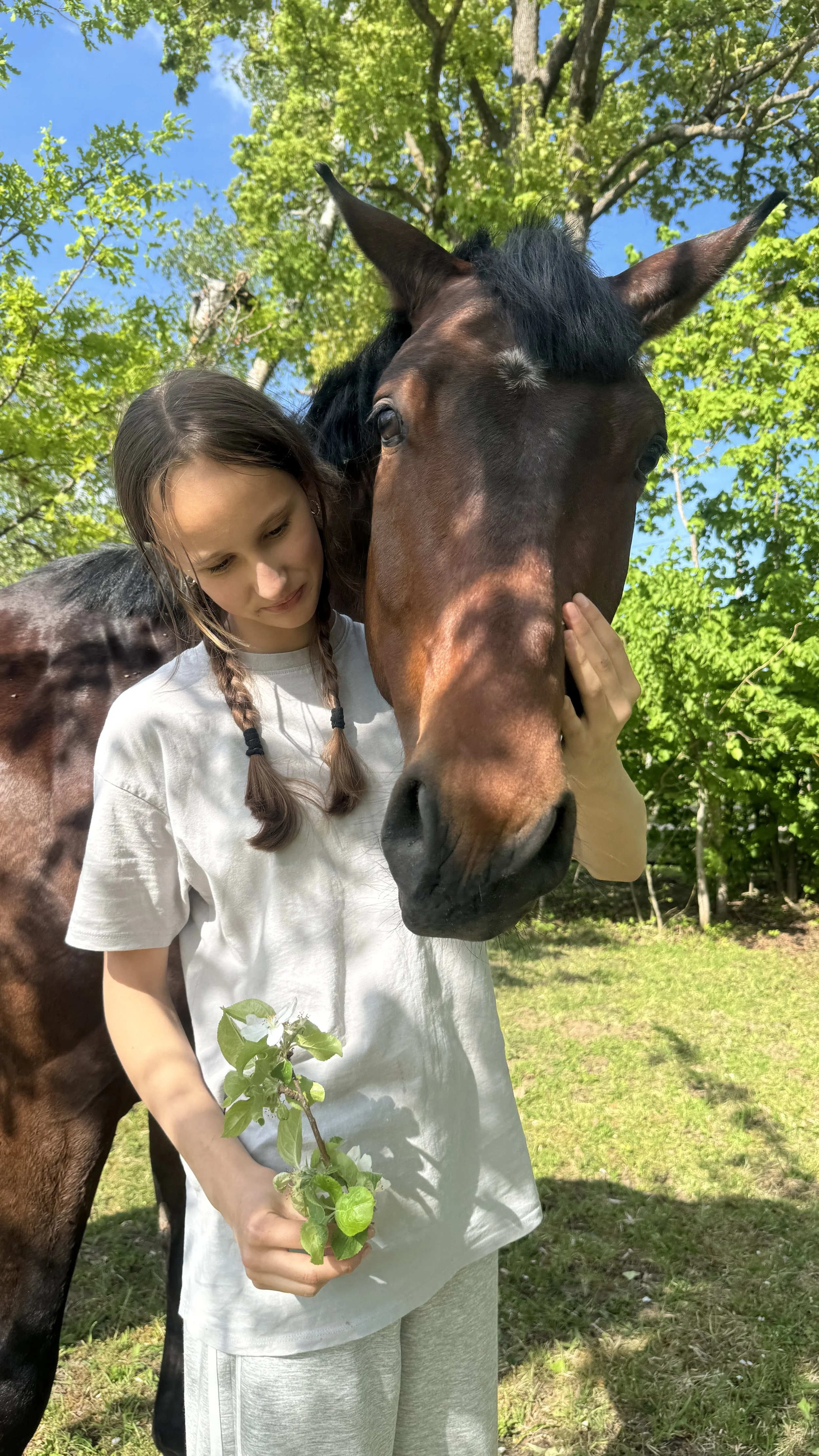 A girl holding a small branch with leaves and a white flower, standing close to a brown horse with black mane in a green outdoor setting with trees and blue sky.