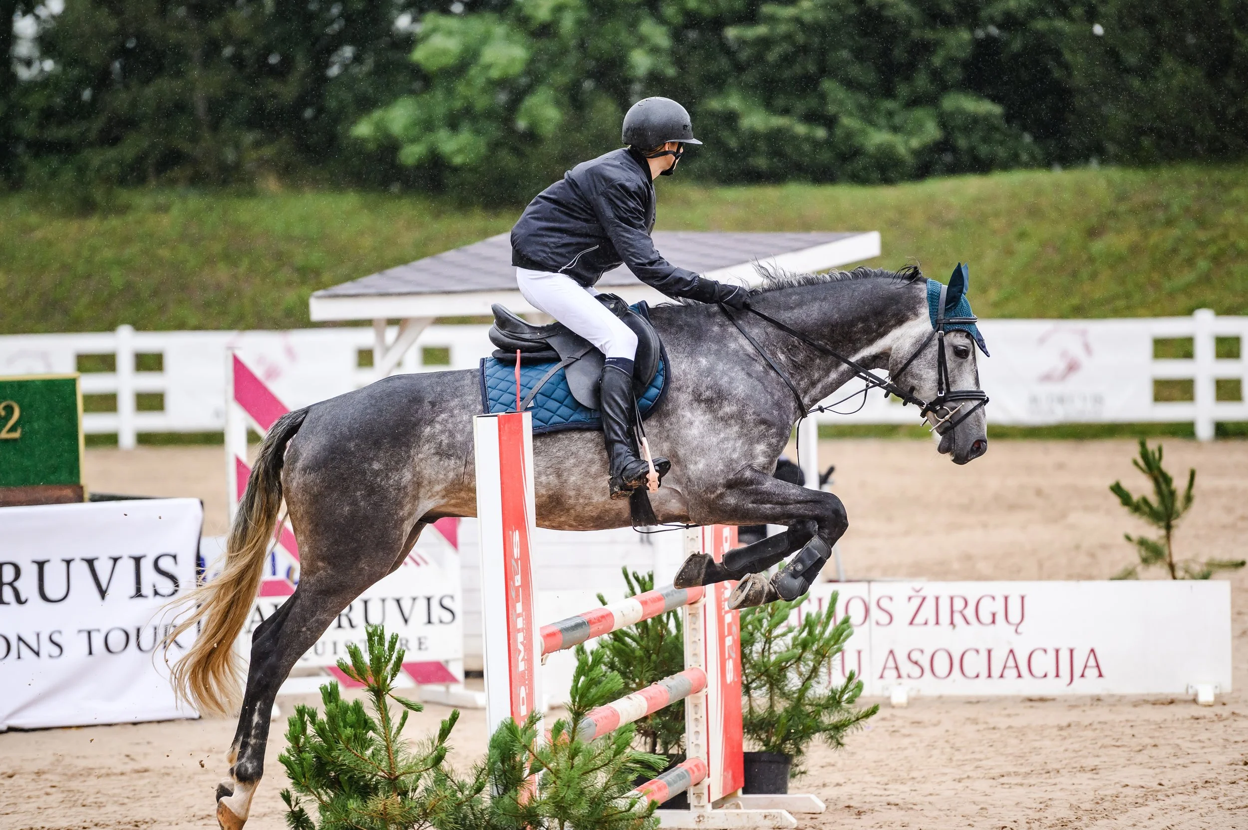 A person wearing a black helmet, black jacket, white riding pants, and black riding boots is riding a gray horse while jumping over a hurdle during an equestrian show jumping event on a rainy day. The background shows a landscaped arena with event banners and green trees.