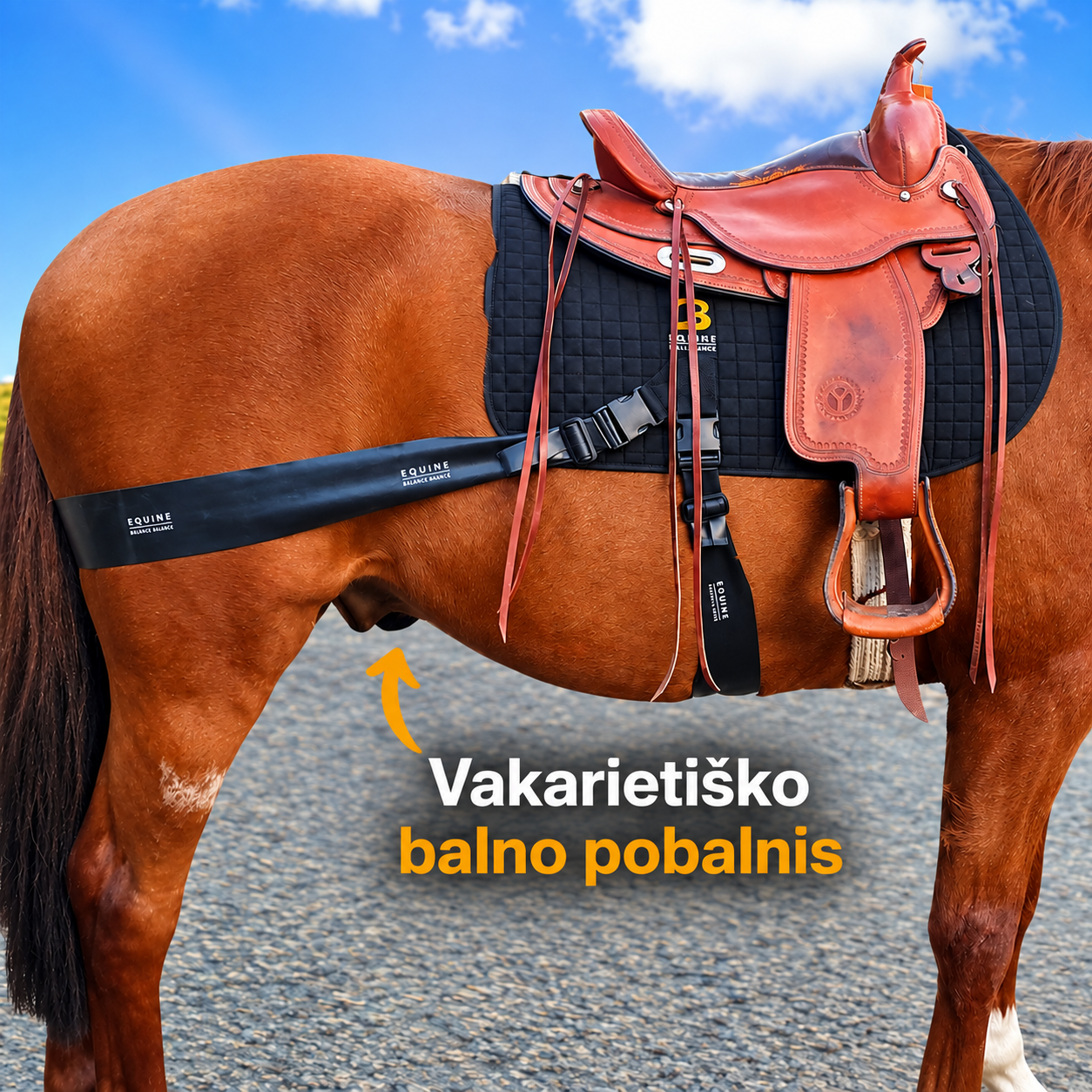 Vakarietisko balno pobalnis.png
