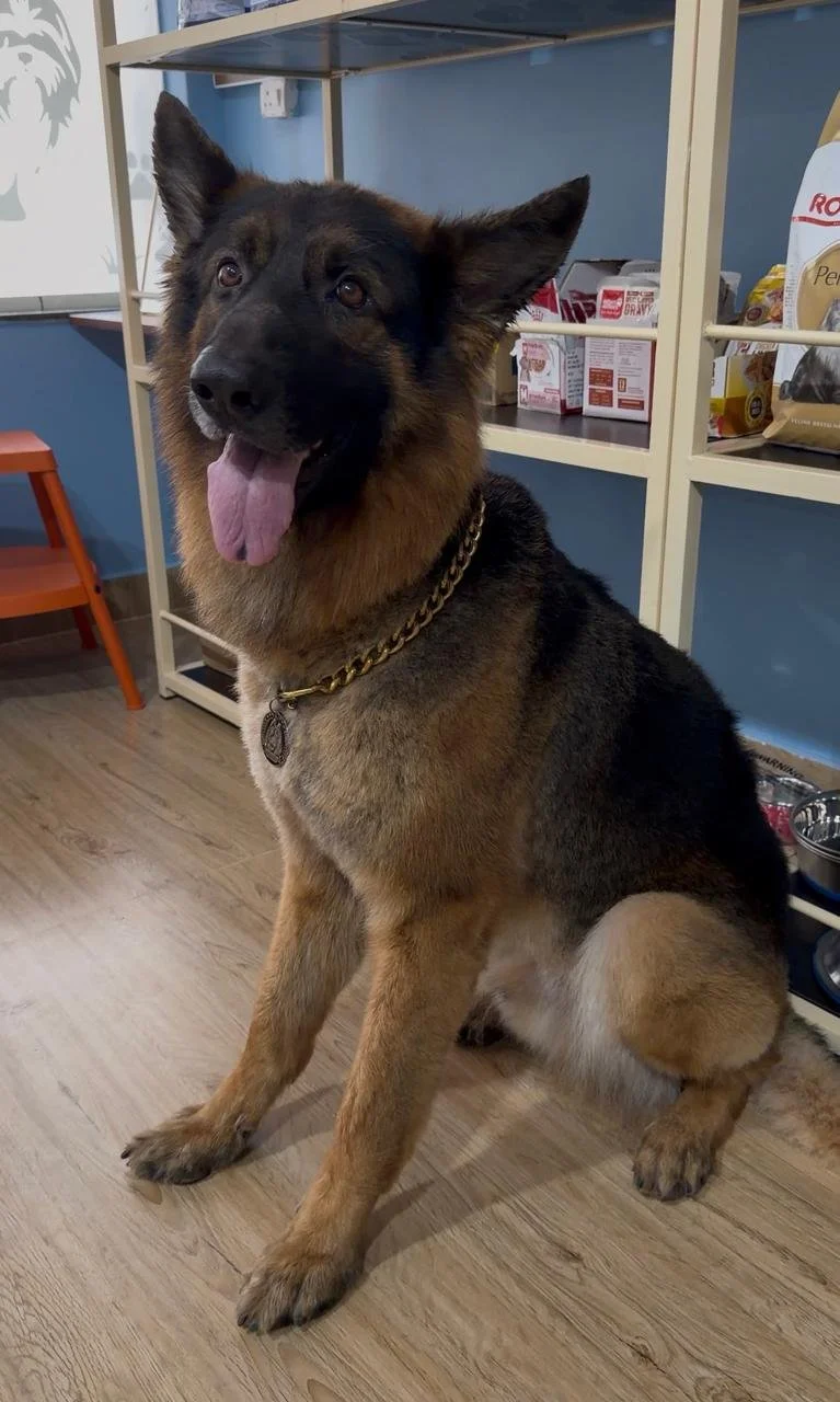 Full-Body trims and Face trim
