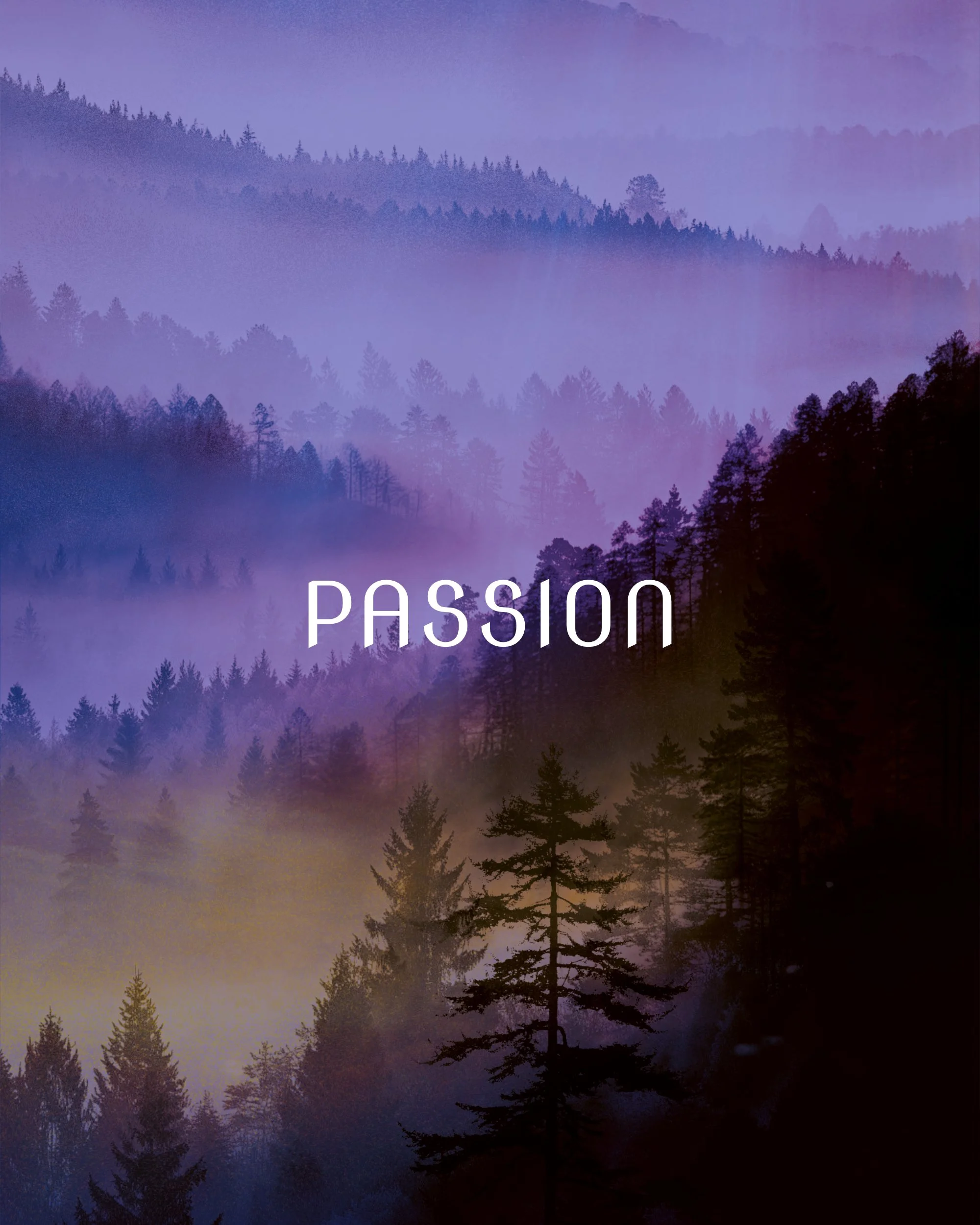 Saison 25·26
