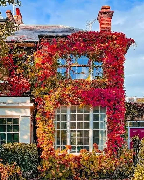 The seasonal secrets to a successful property listing 