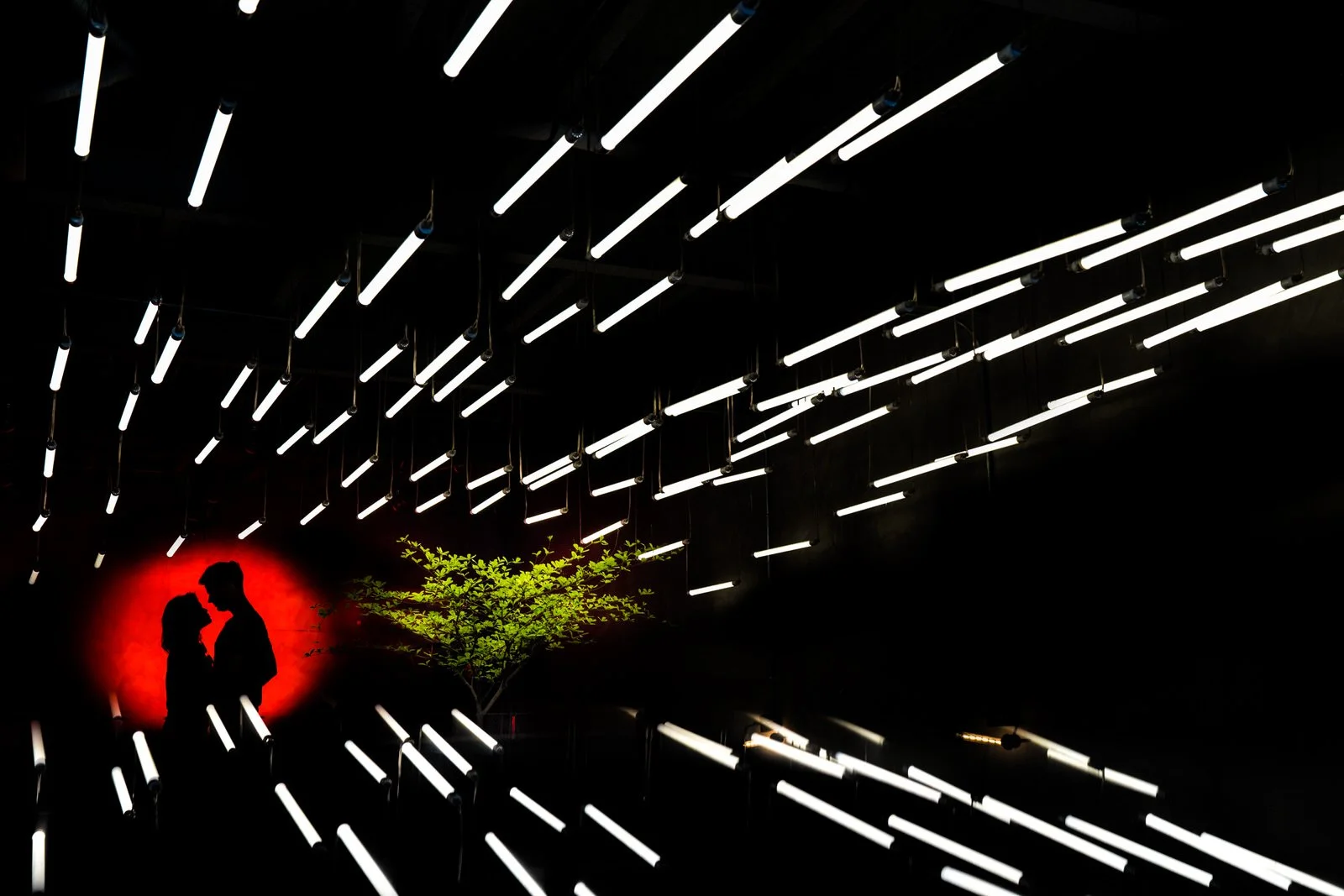 KhoiLeStudios-Unique_05.JPG
