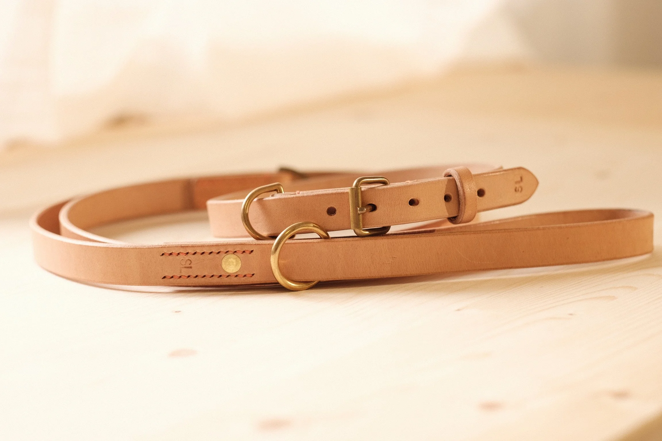 Set: Collar and Lead