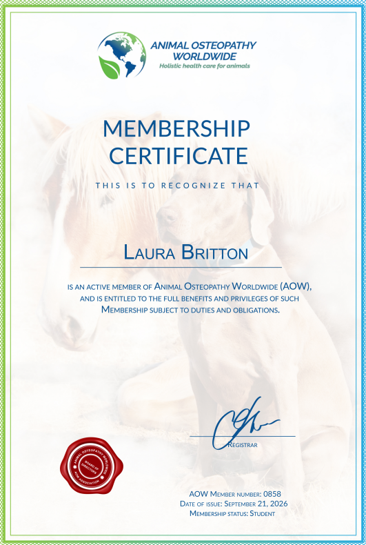 Membership certificate from Animal Osteopathy Worldwide (AOW) awarded to Laura Britton, with a background image of dogs and a logo at the top showing a globe with a paw print and leaves. Contains signatures and a red seal at the bottom left.