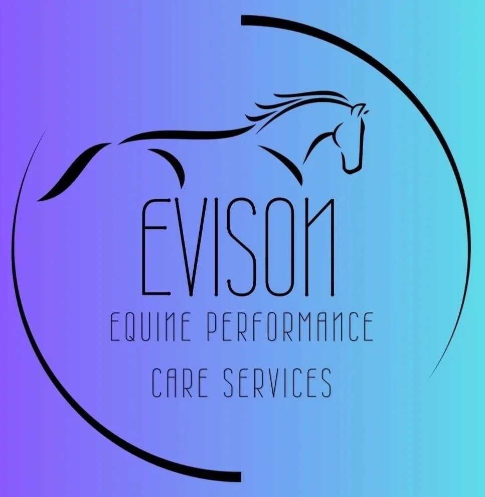 Evison Equine Performance : L B Equine Physio