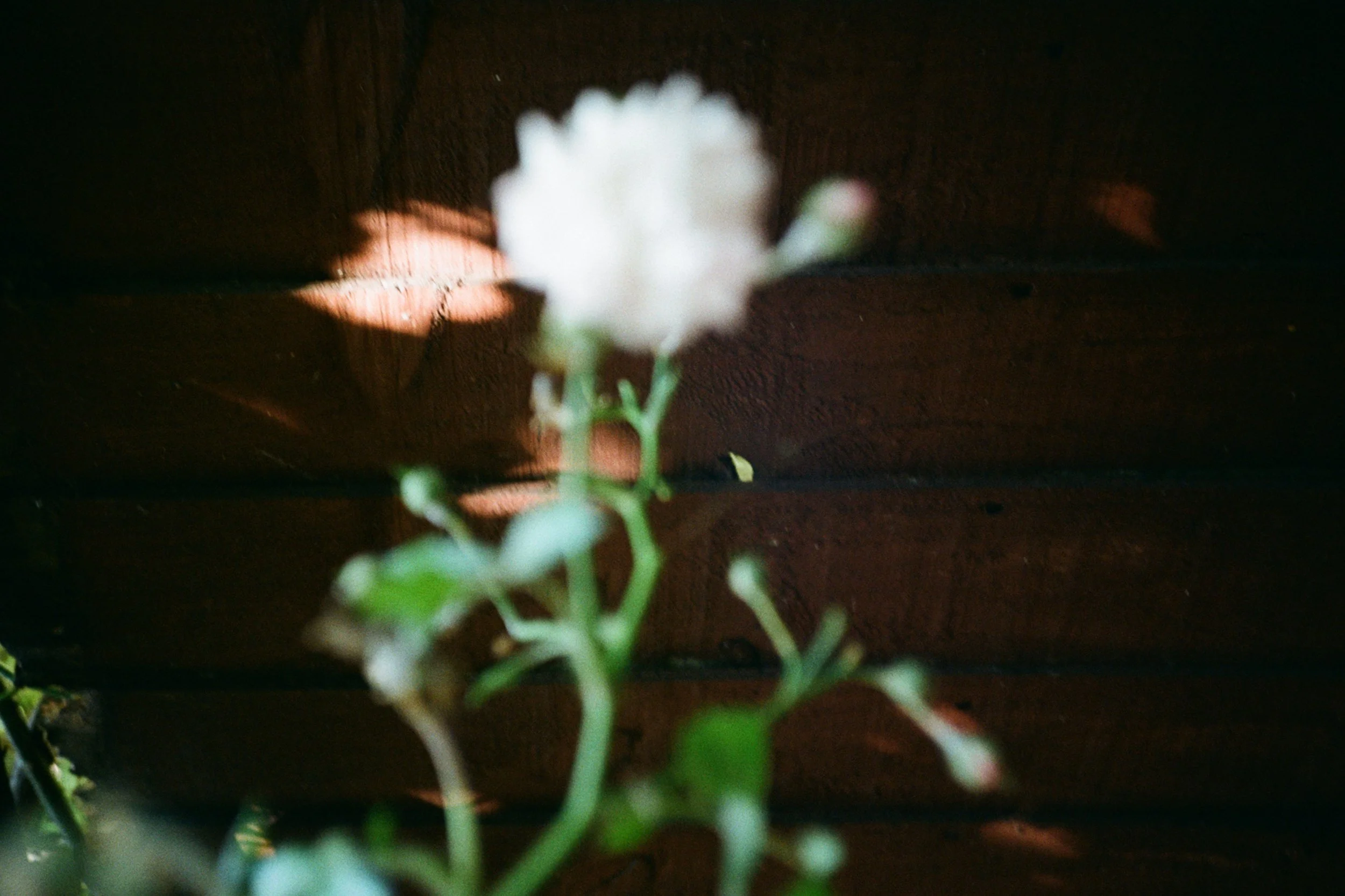 Happy Accident ⚘ London, 2015