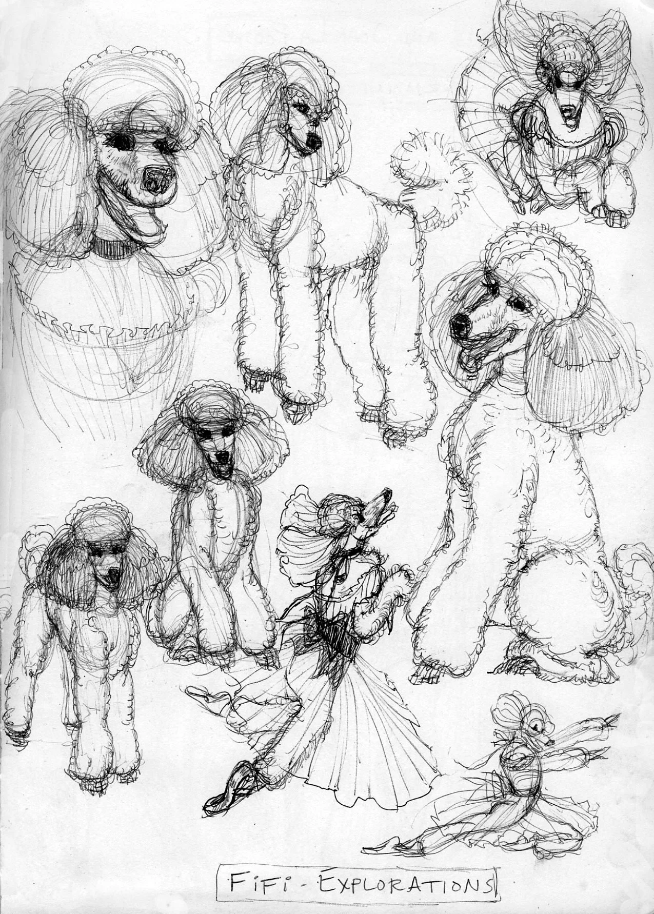 A sketch of various anthropomorphic animals, primarily poodles and dogs, engaged in different activities like dancing, playing, and exploring. The drawing is titled 'Fifi Explorations' at the bottom.