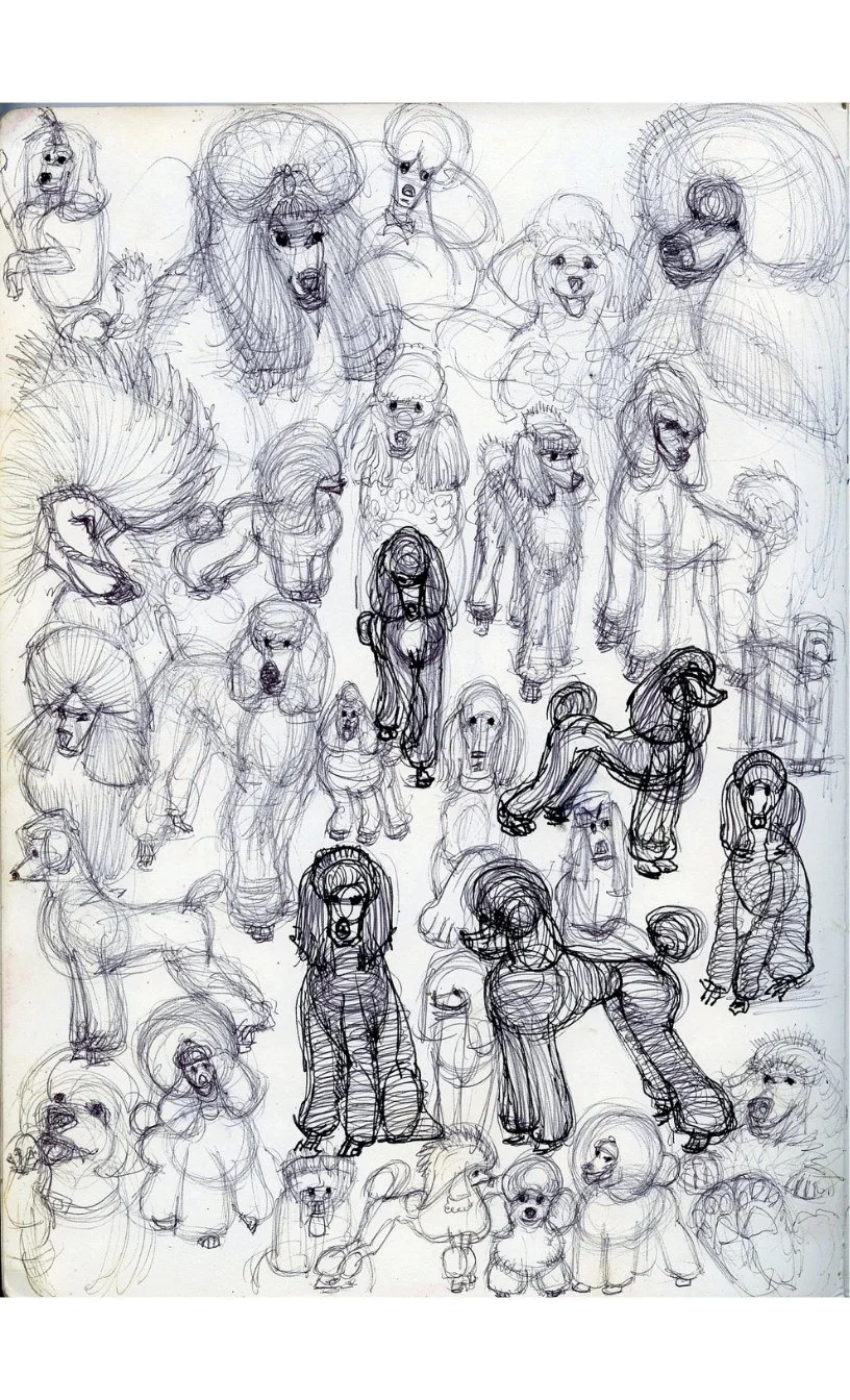 A collection of rough, black ink sketches of various fierce and dramatic dog characters with exaggerated features and expressions.