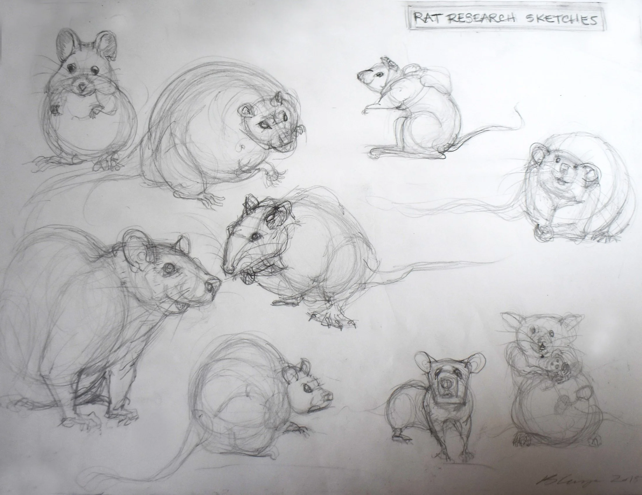 Sketches of various rats and mice with the title "Rat Research Sketches" at the top.
