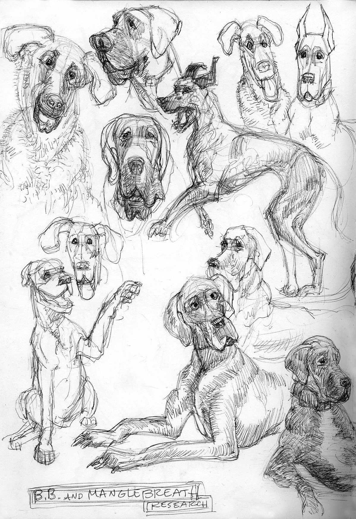 Sketch of multiple dogs of different breeds with expressive faces, some sitting, some standing or lying down, and a few with their mouths open. Text at the bottom reads 'B.B. AND MANGLE BREATH RESEARCH'.