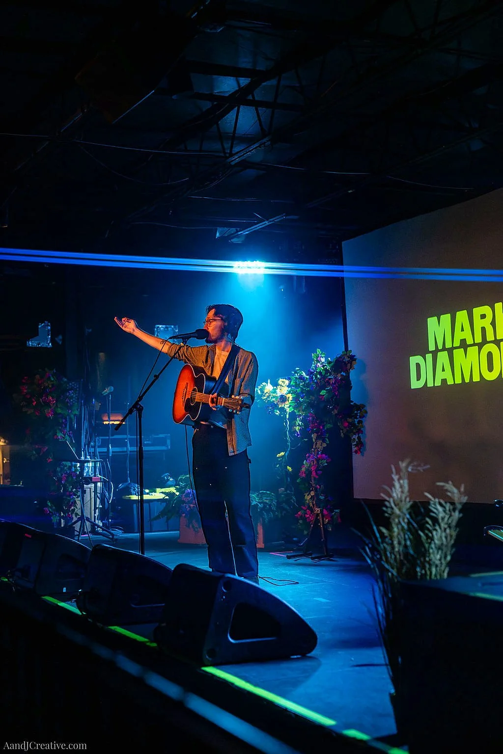 Mark Diamond at The Underground: A Garden of Light