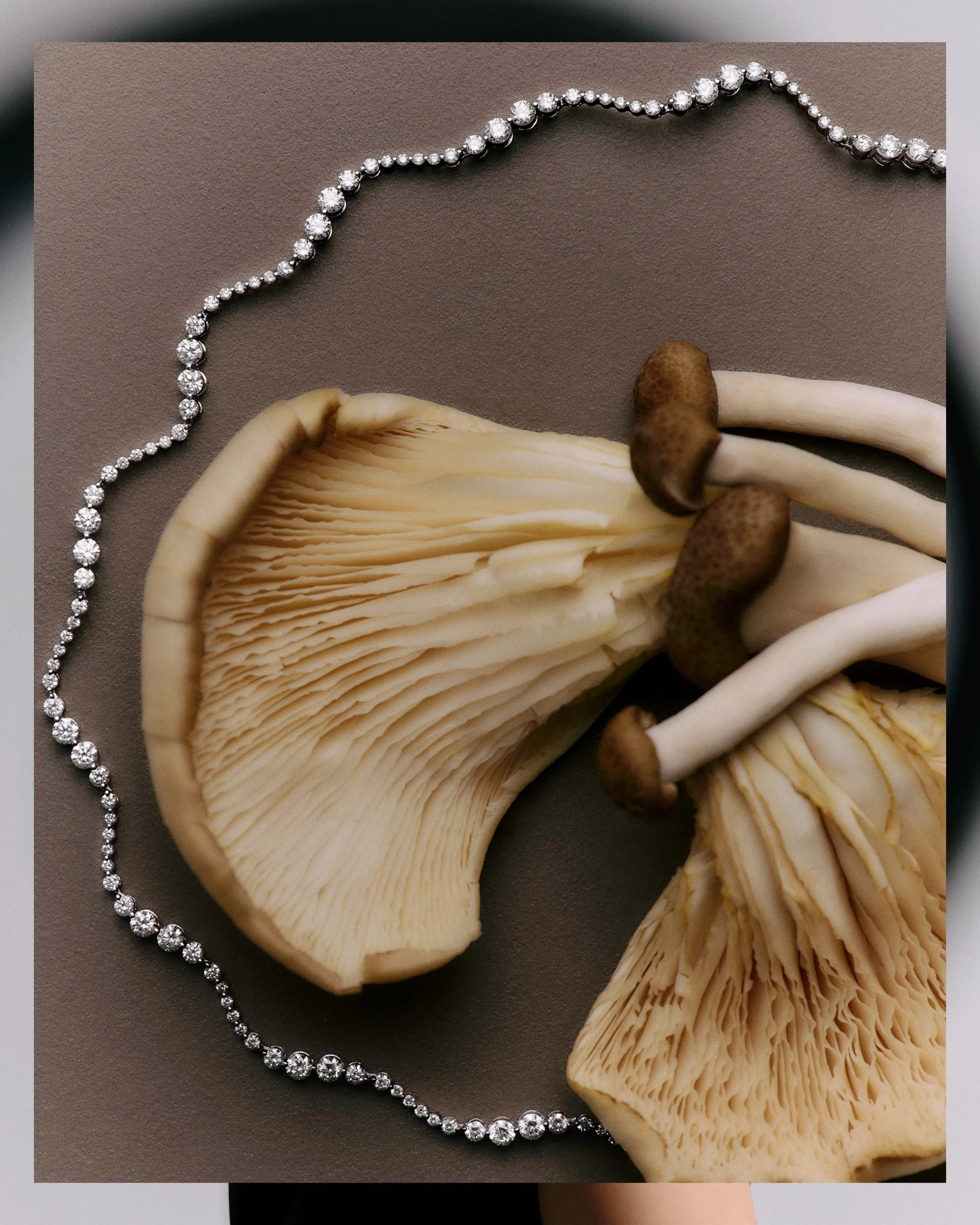 PDPAOLA_FW_SEASON_MODEL_0684b.jpg