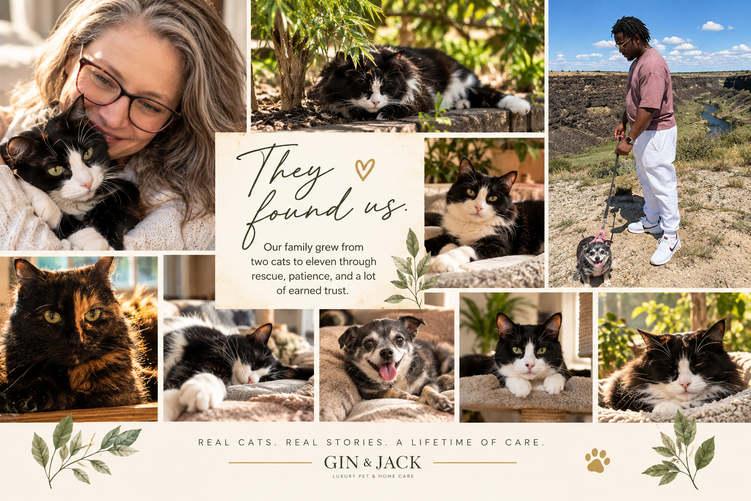 A collage of photos featuring various cats, a person walking a dog outdoors, and a message that reads 'They found us. Our family grew from two cats to eleven through rescue, patience, and a lot of earned trust.' The collage includes images of cats resting, playing, and lounging inside and outside. There are decorative leaves and a paw print, with bottom text that says 'Real cats. Real stories. A lifetime of care. GIN & JACK. Luxury pet & home care.'