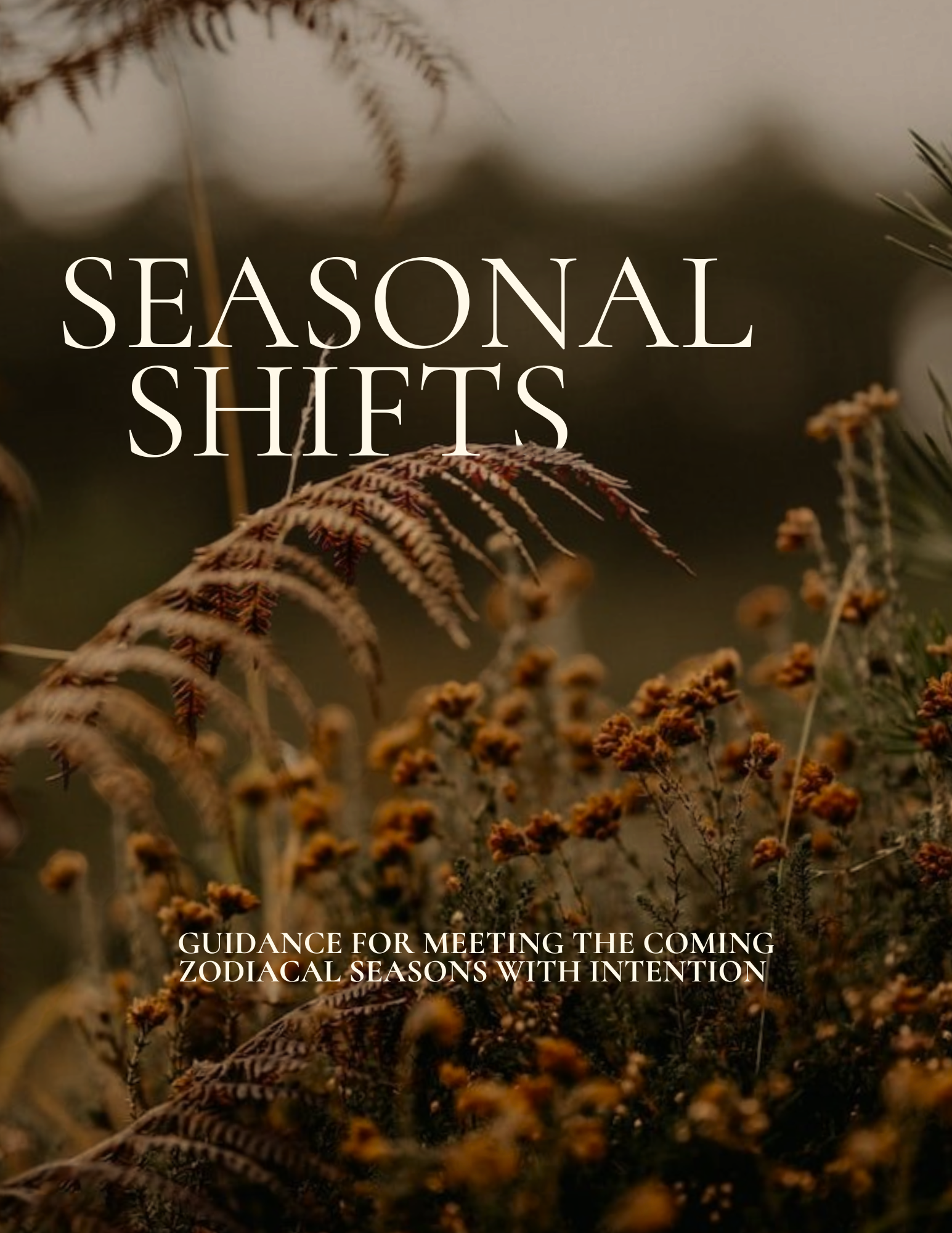 Written Reading | Seasonal Shifts