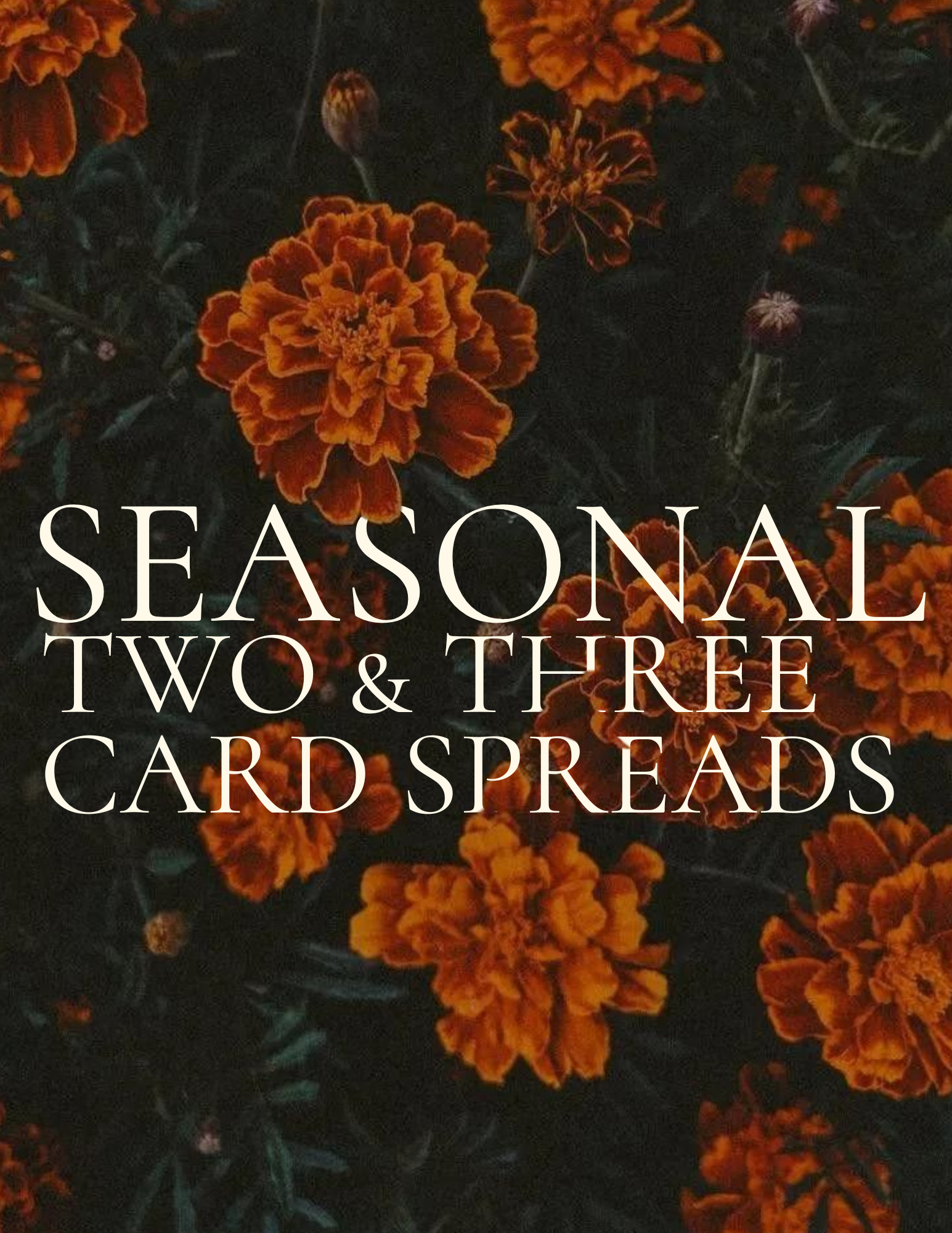 Written Reading | Seasonal Two & Three Card Spreads