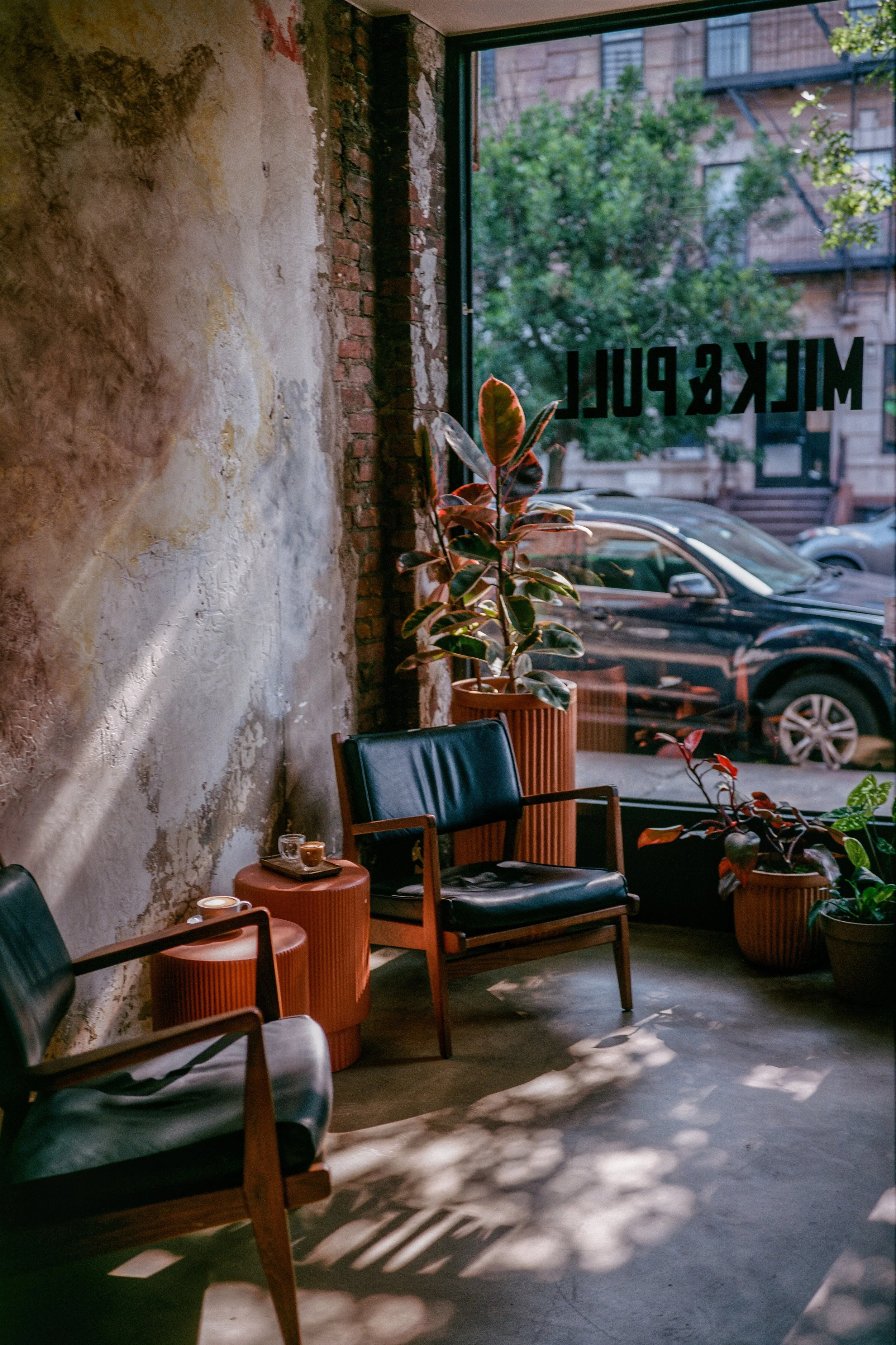 coffee shop interior cafe