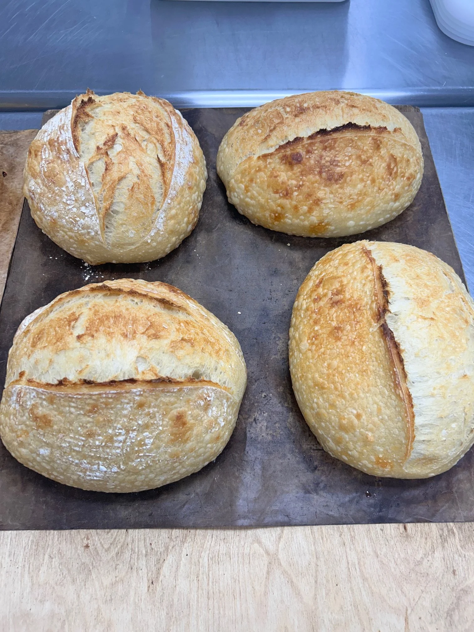 Golden sourdough loaves with flour-dusted crusts on a baking tray.