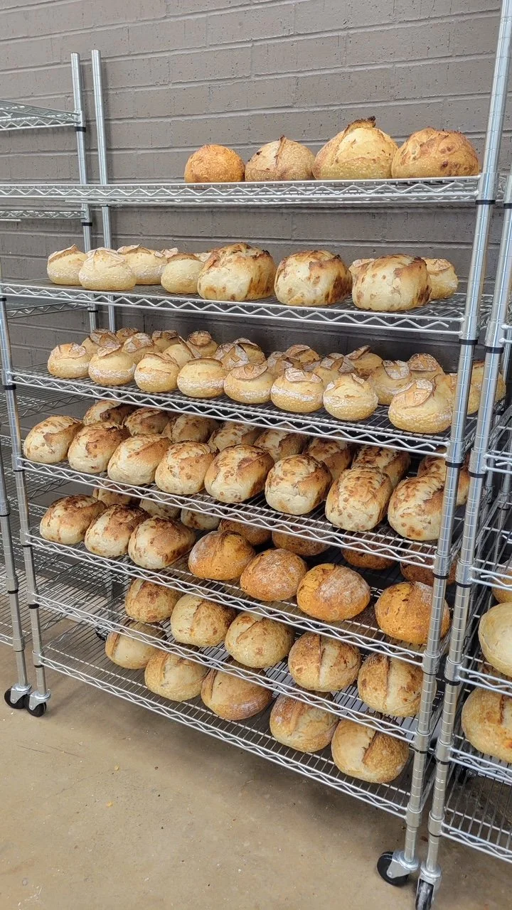 Rows of round and oval sourdough loaves cooling on wire bakery racks.