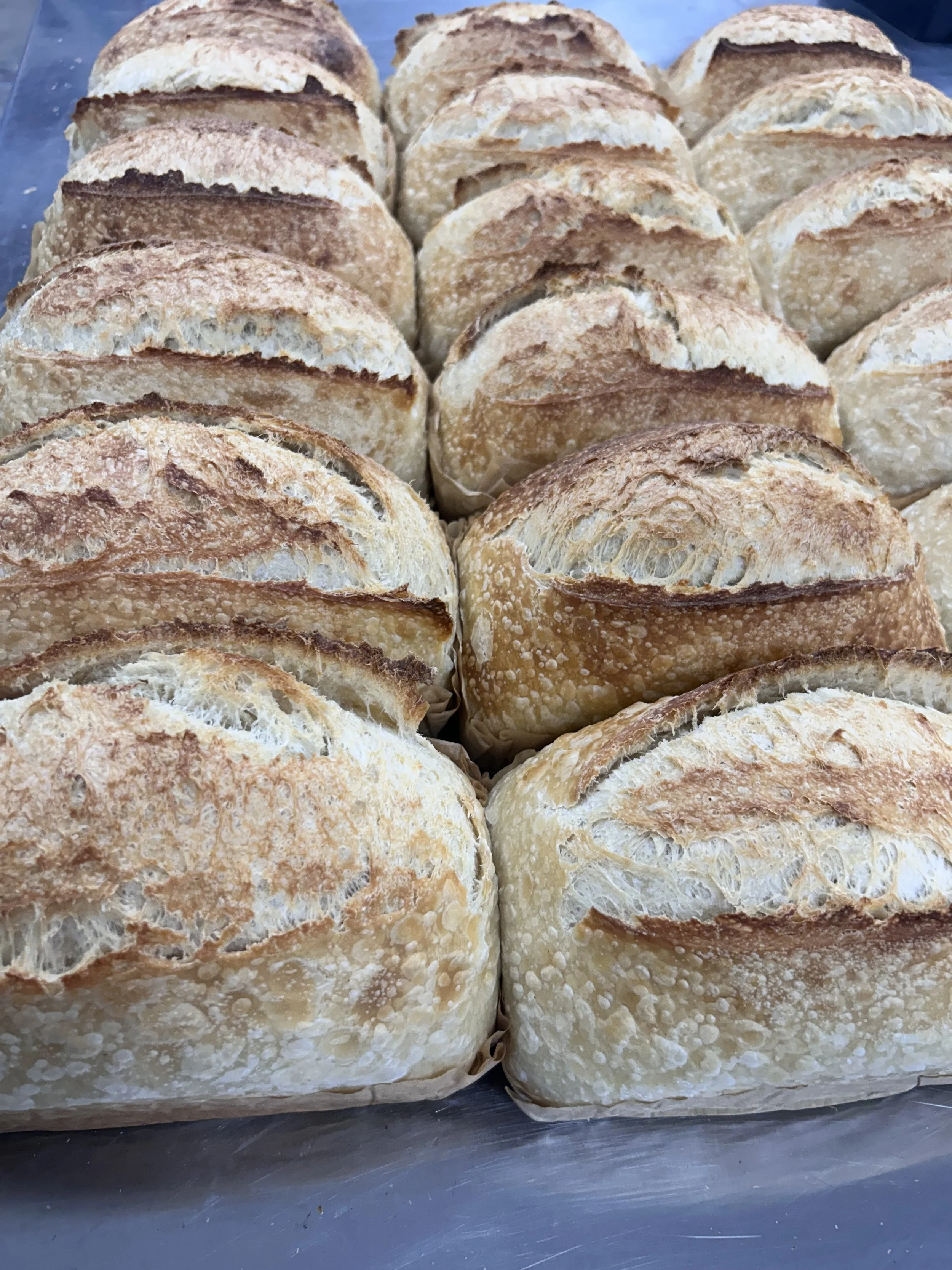Close-up of golden sourdough loaves with flour-dusted, scored crusts.
