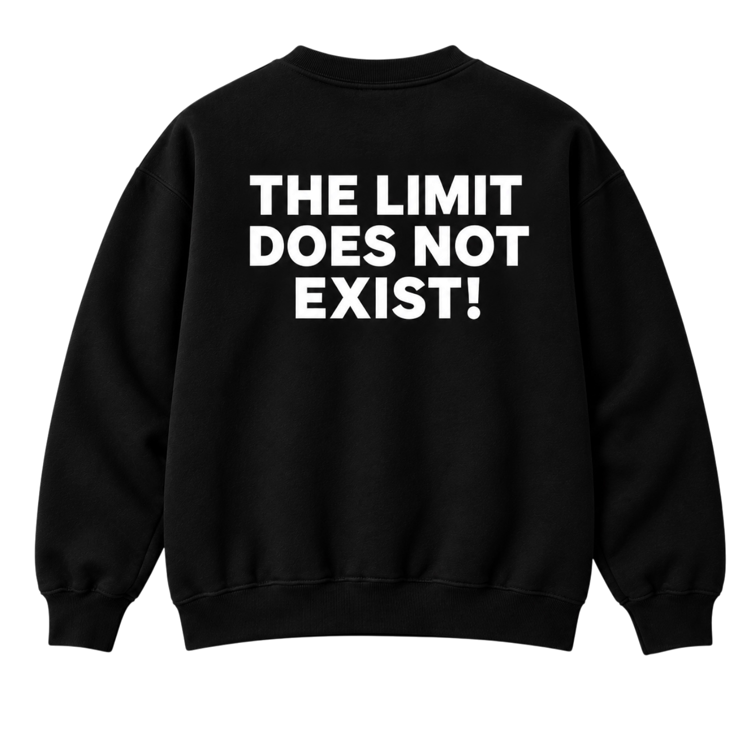 THE LIMIT DOES NOT EXIST CREW BACK.PNG