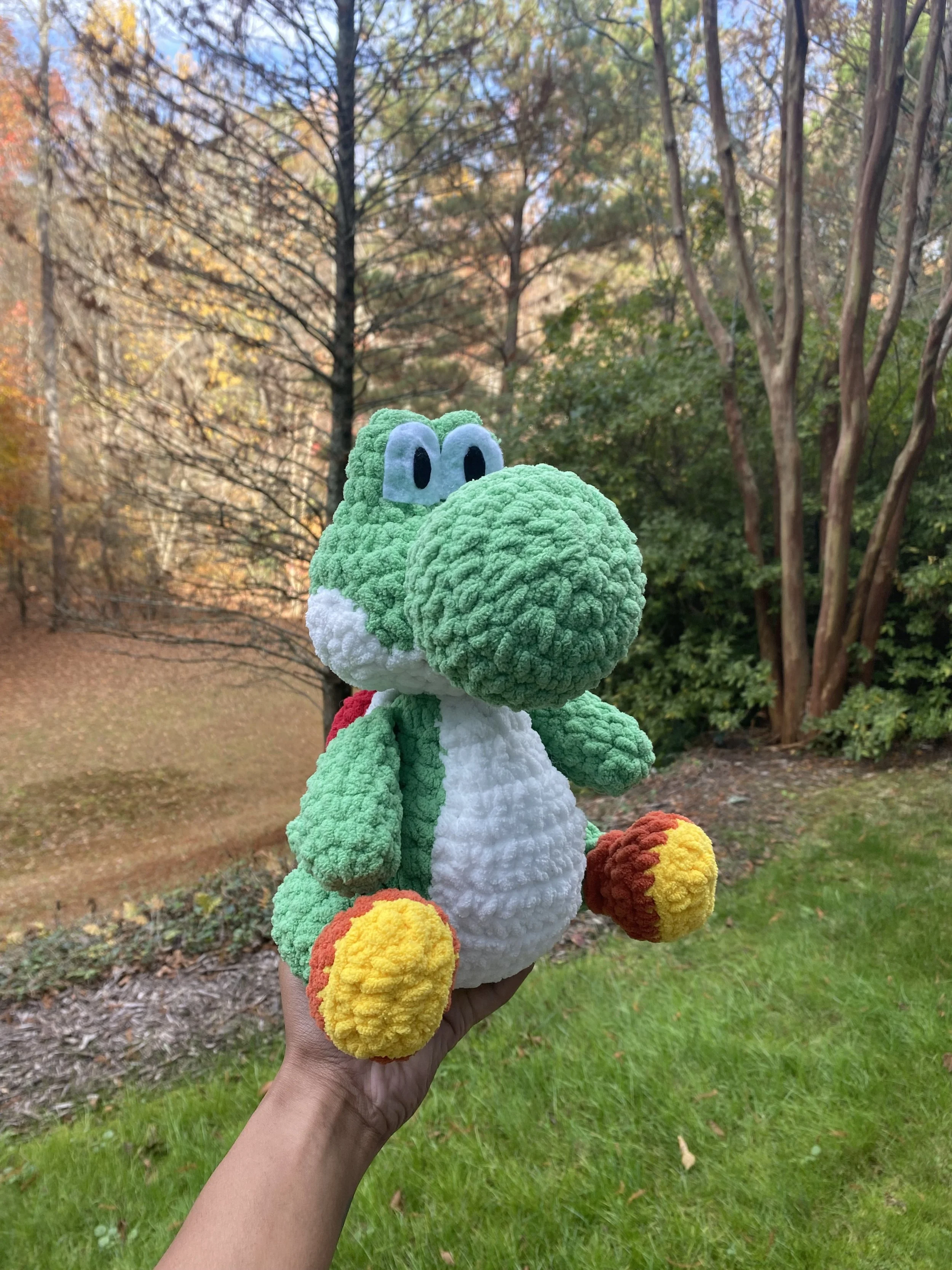 Yoshi.jpeg