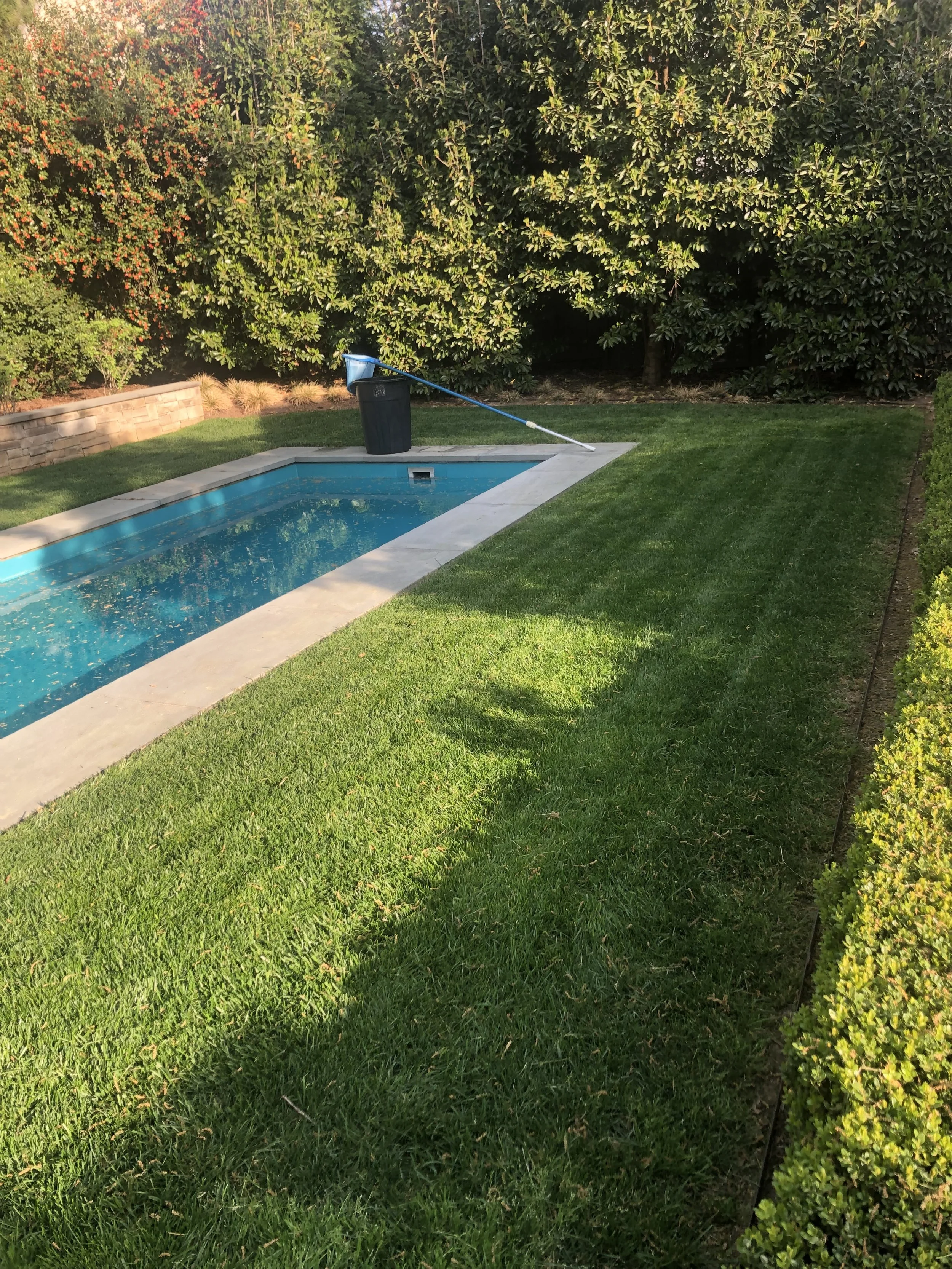 A backyard with a small rectangular swimming pool surrounded by a concrete border and green grass, with a backyard cleaning tool resting on a trash bin near the pool. Dense trees and bushes form the background.