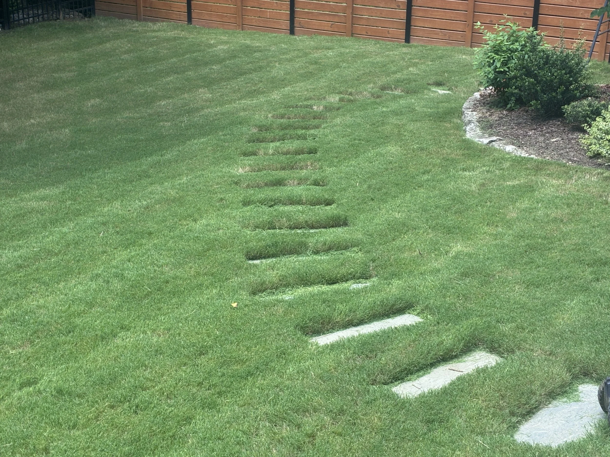 A backyard with a well-manicured green lawn, a wooden fence in the background, and a landscaped area with bushes and rocks on the right side. There are also stepping stones leading across the grass.