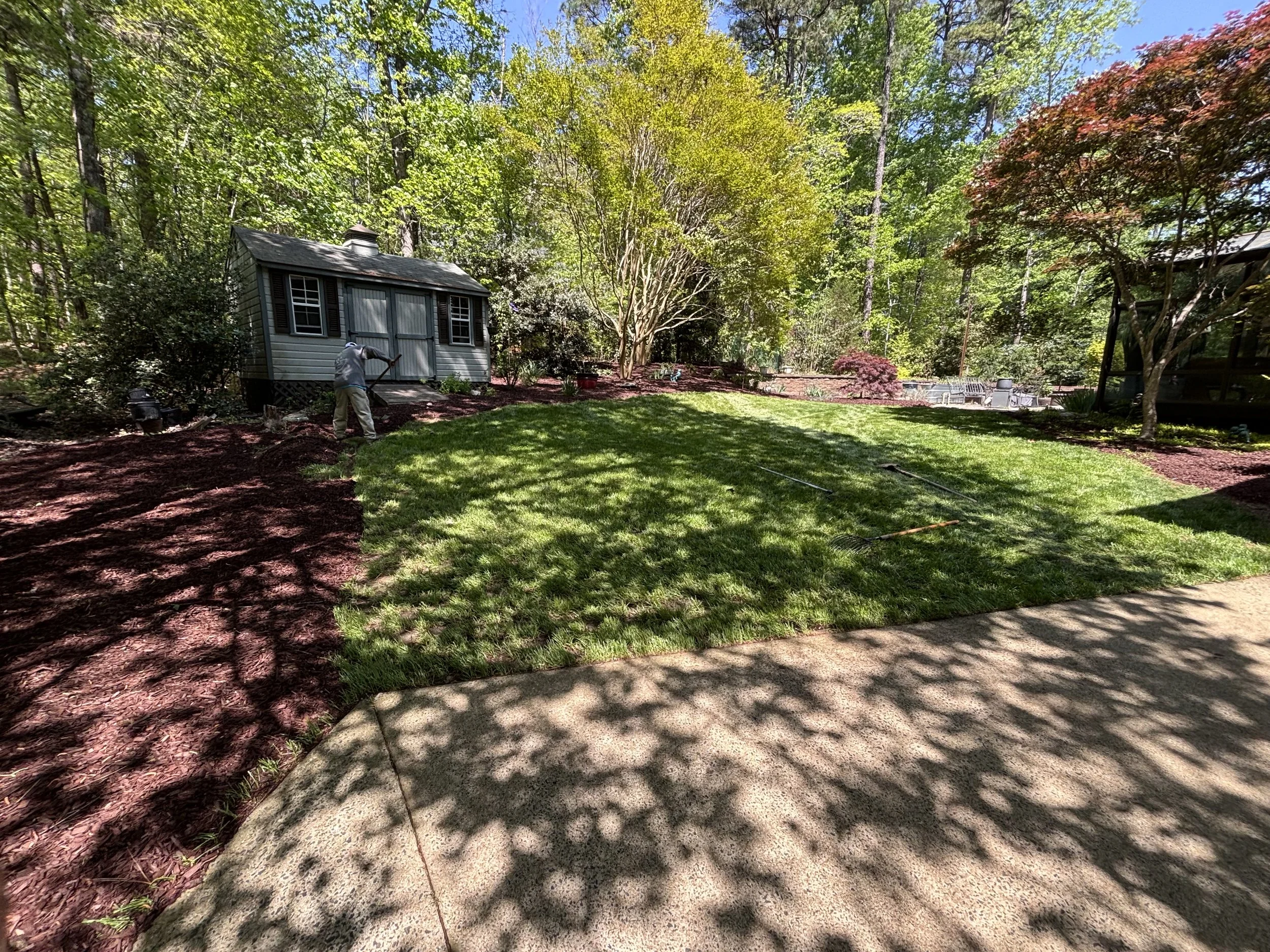 A person working in a backyard garden on a sunny day, with trees providing shade and a small gray shed in the background.